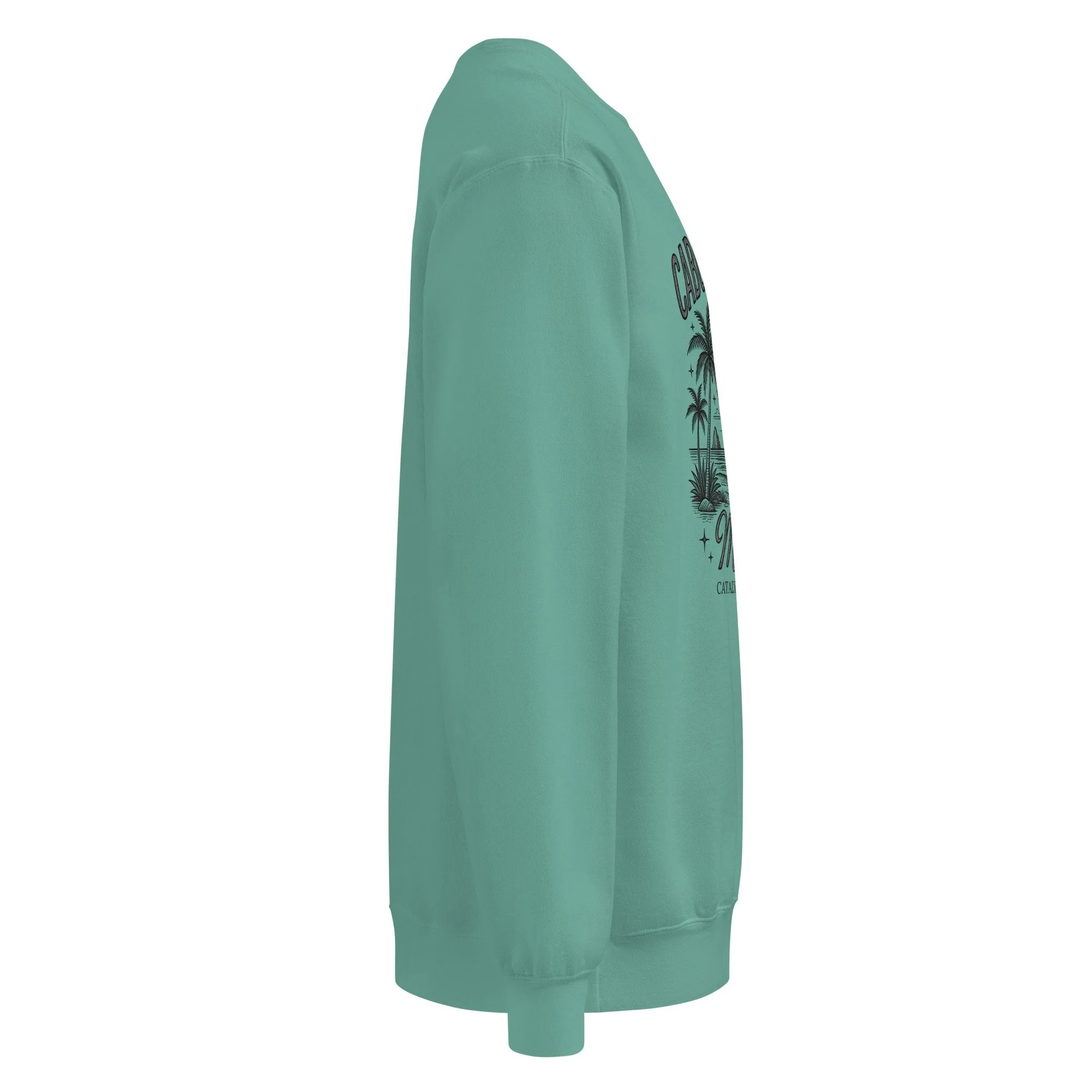 unisex-garment-dyed-sweatshirt-seafoam-right-6a599942b981a.jpg