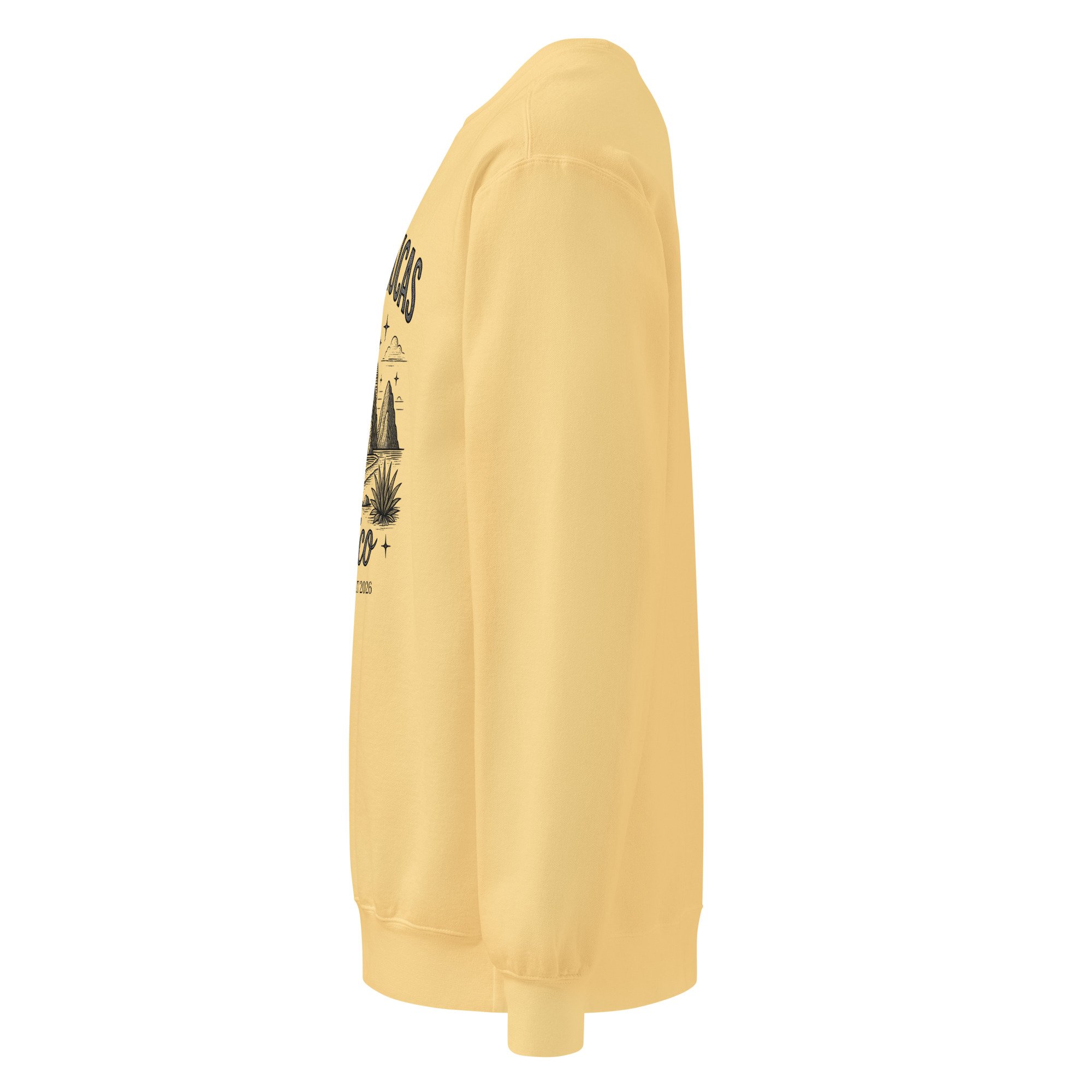 unisex-garment-dyed-sweatshirt-butter-left-6a599942baa01.jpg