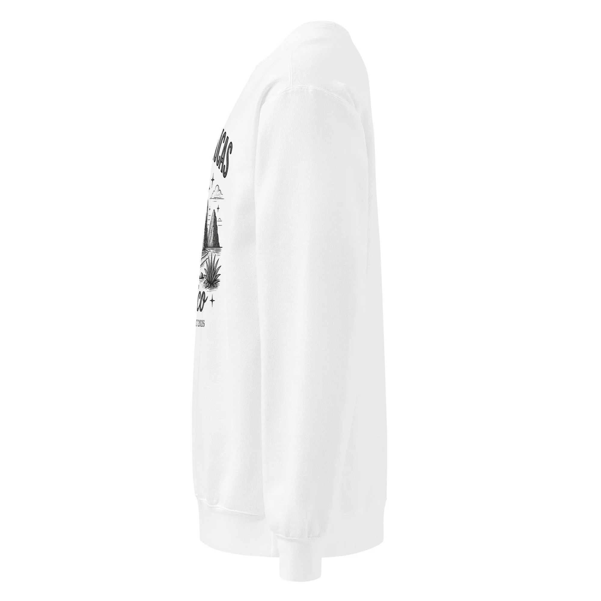 unisex-garment-dyed-sweatshirt-white-left-6a599942bcc7d.jpg