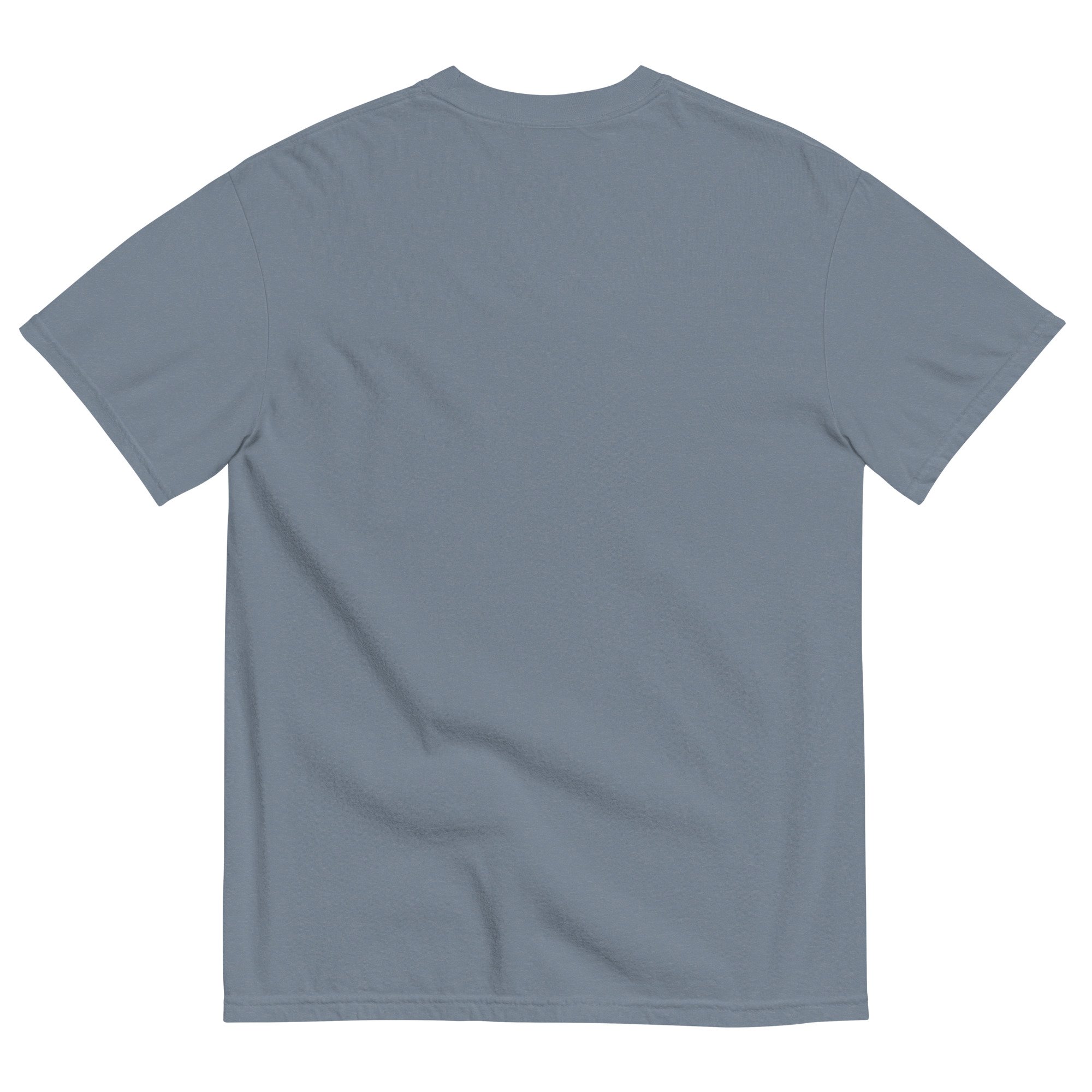 unisex-garment-dyed-heavyweight-t-shirt-blue-jean-back-6a599a12b346b.jpg