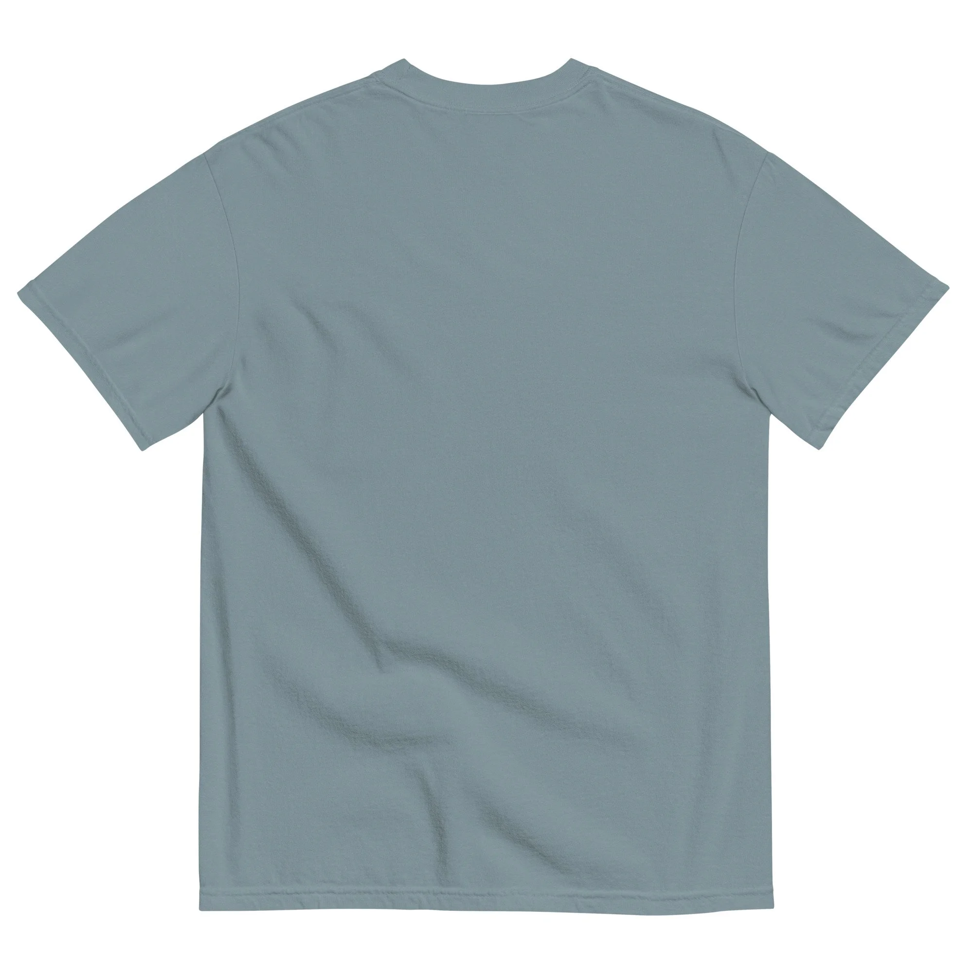 unisex-garment-dyed-heavyweight-t-shirt-ice-blue-back-6a599a12b4f65.jpg