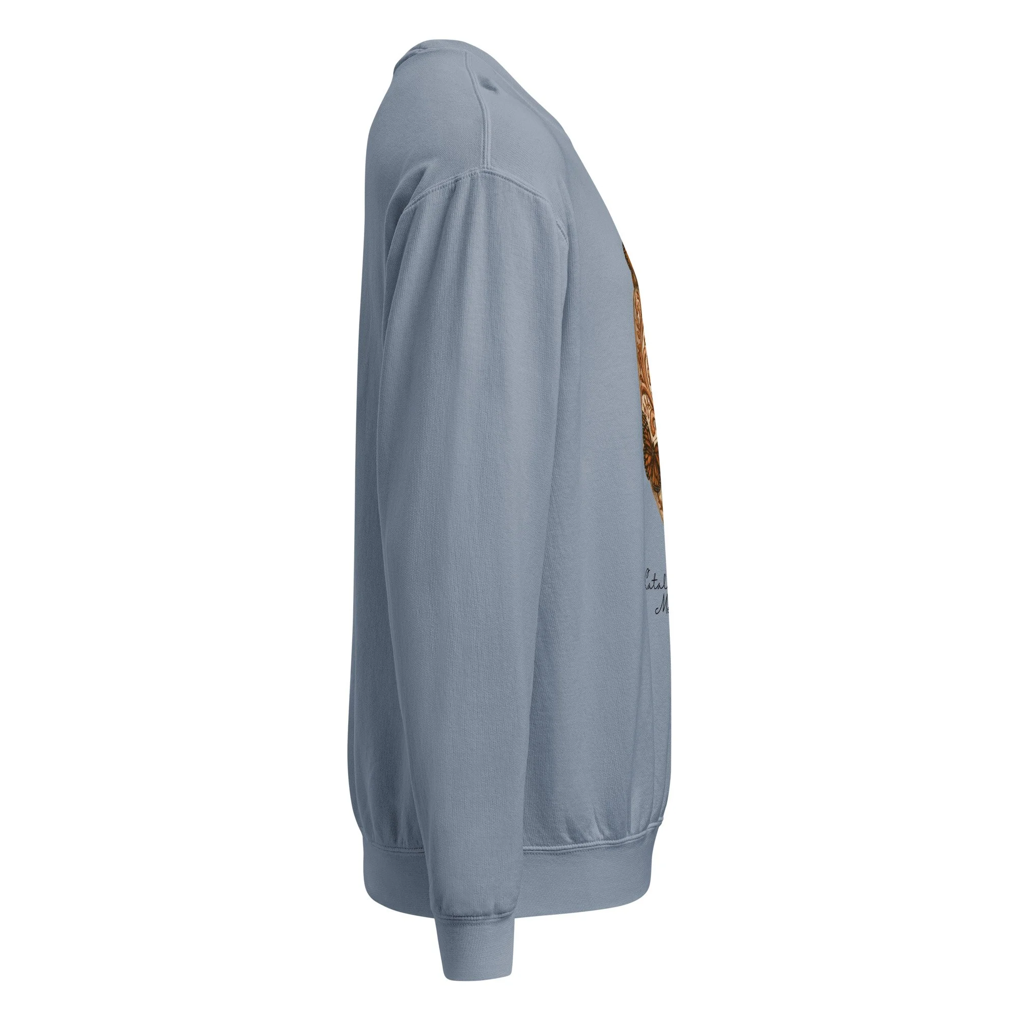 -dyed-lightweight-fleece-crewneck-sweatshirt-i-comfort-colors-1466-blue-jean-right-6a599a3e9b031.jpg