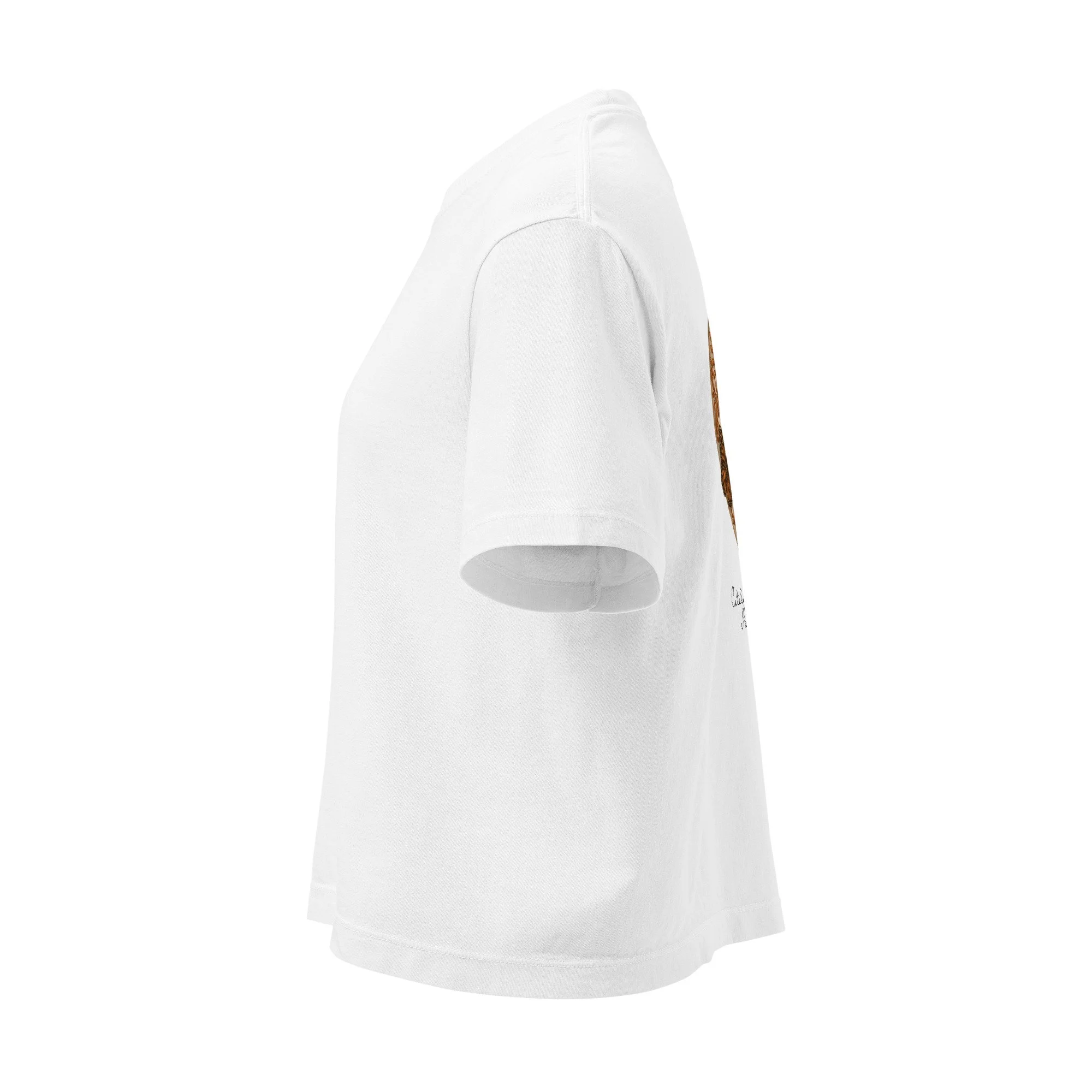 womens-heavyweight-boxy-t-shirt-white-left-6a599b3d550a1.jpg