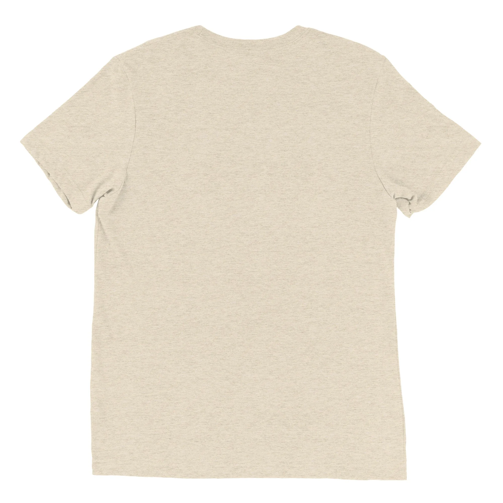 unisex-tri-blend-t-shirt-oatmeal-triblend-back-6a599c4288925.jpg