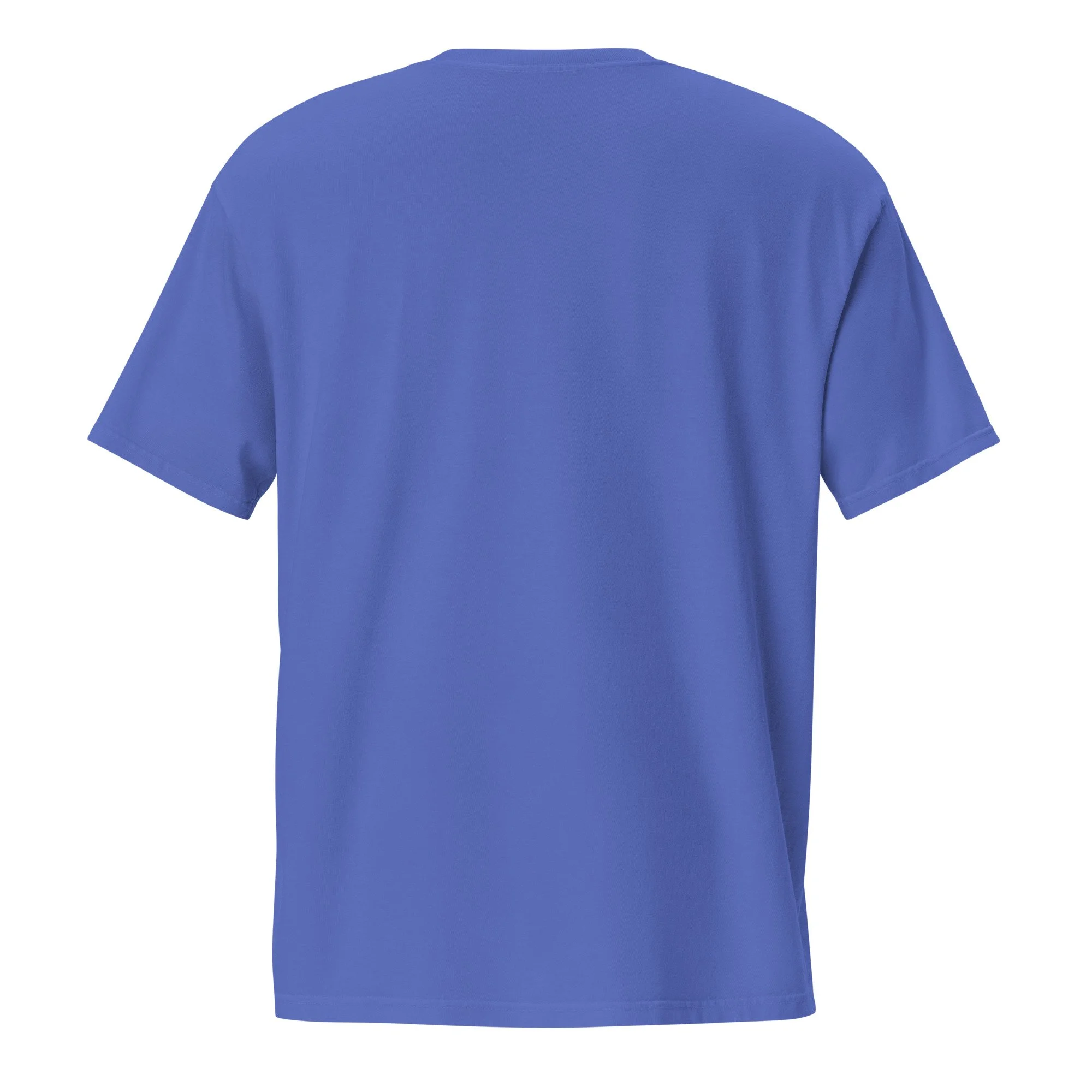 unisex-garment-dyed-pocket-t-shirt-flo-blue-back-6a59ac7f68d4e.jpg