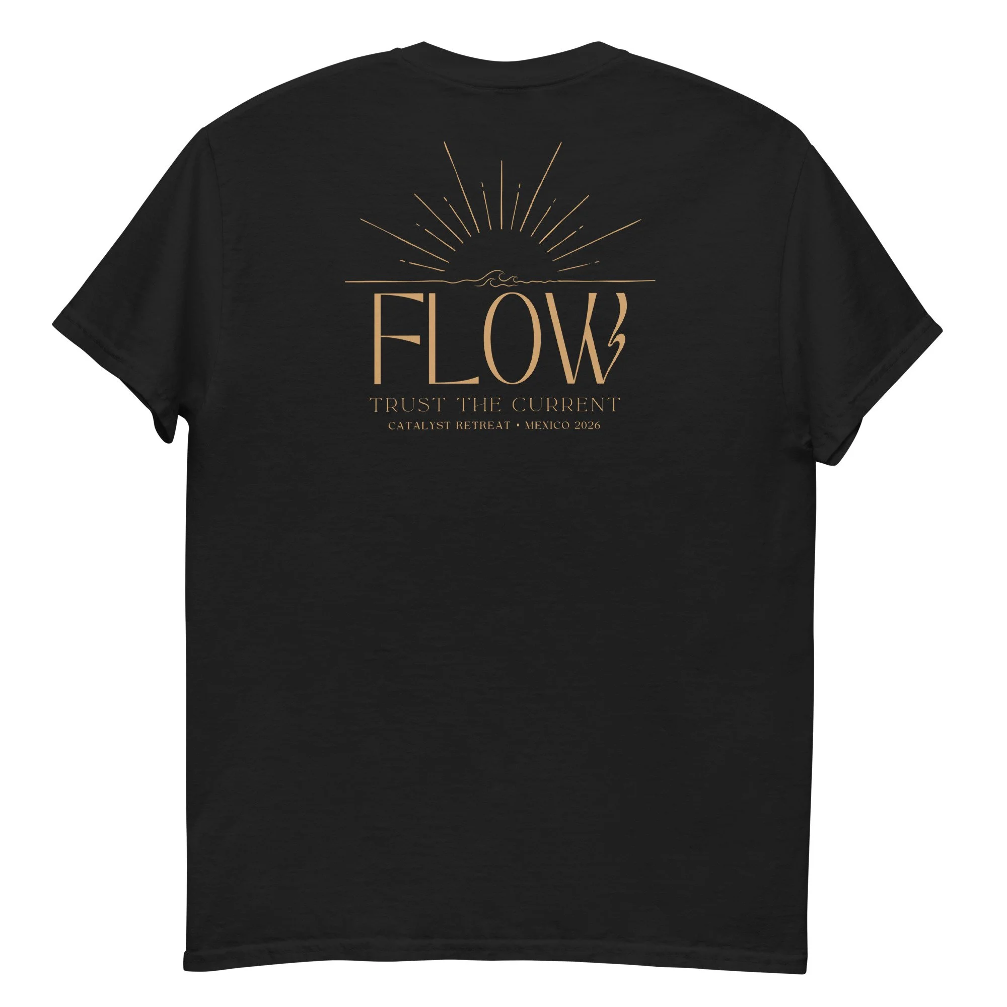unisex-classic-tee-black-back-6a59b34ac464d.jpg