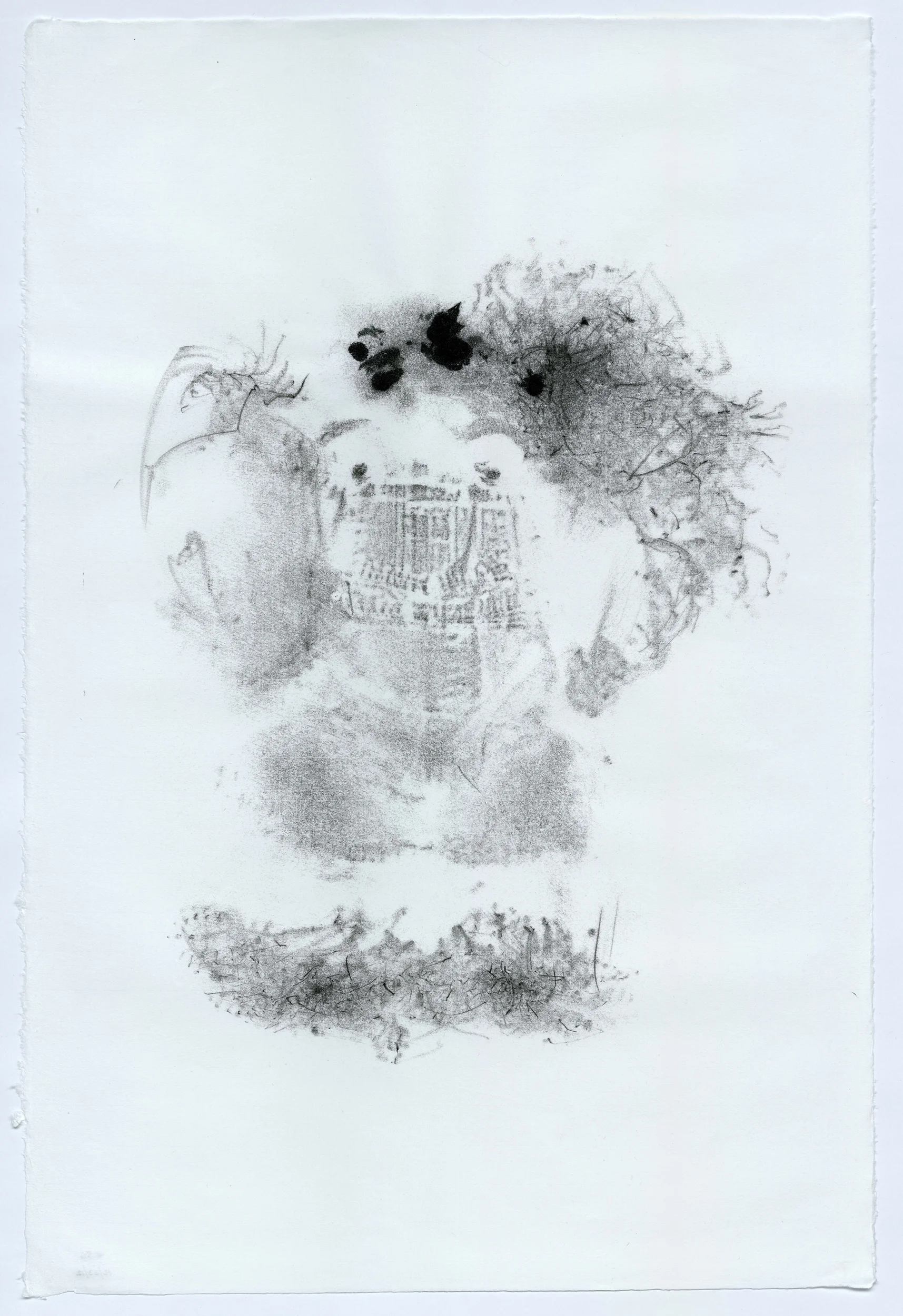 Baby Clyde (20 weeks old) 37” x 25” handmade white Kozo (Mulberry) paper, unframed