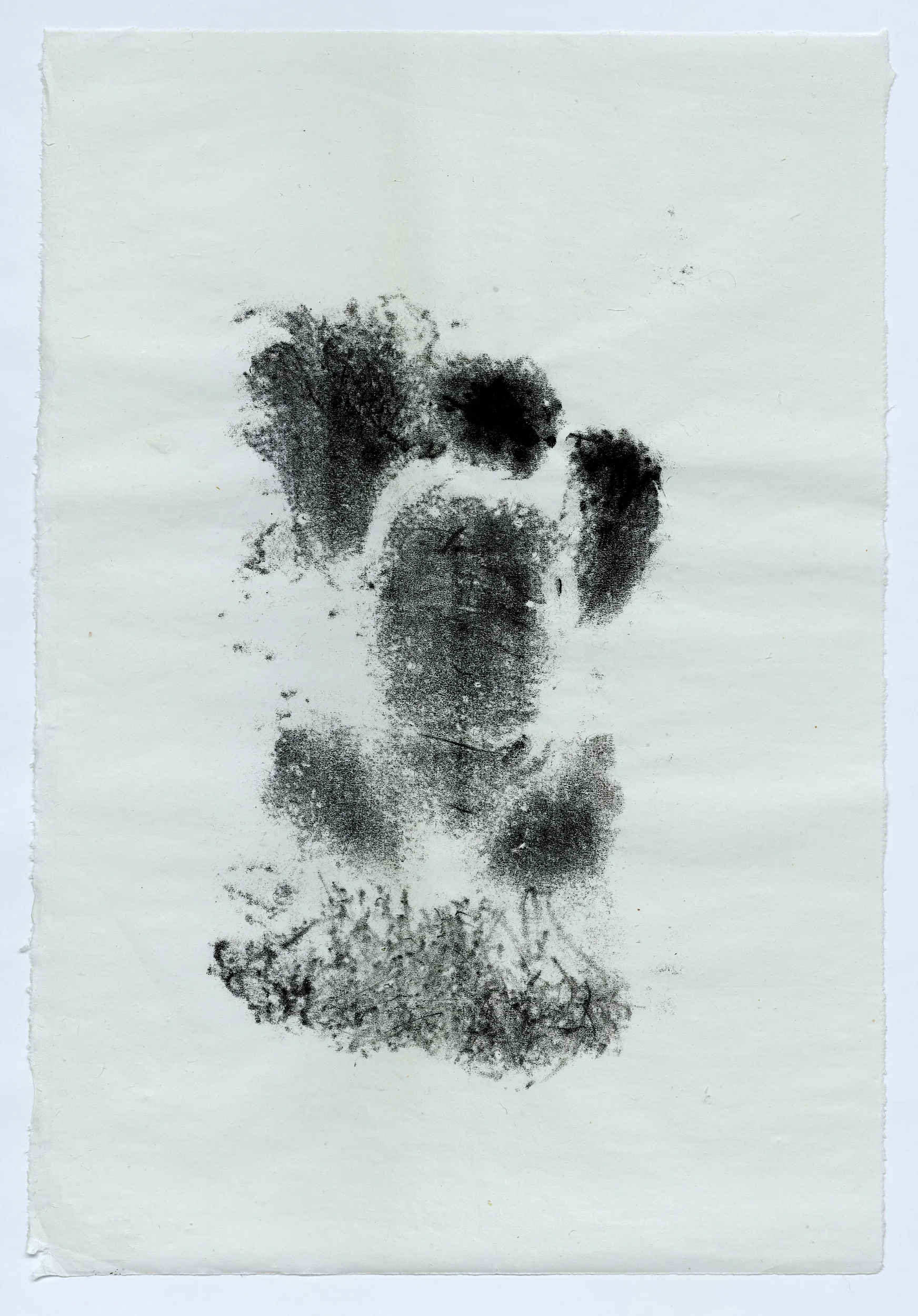 Baby Clyde (16 weeks old) 37” x 25” handmade white Kozo (Mulberry) paper, unframed