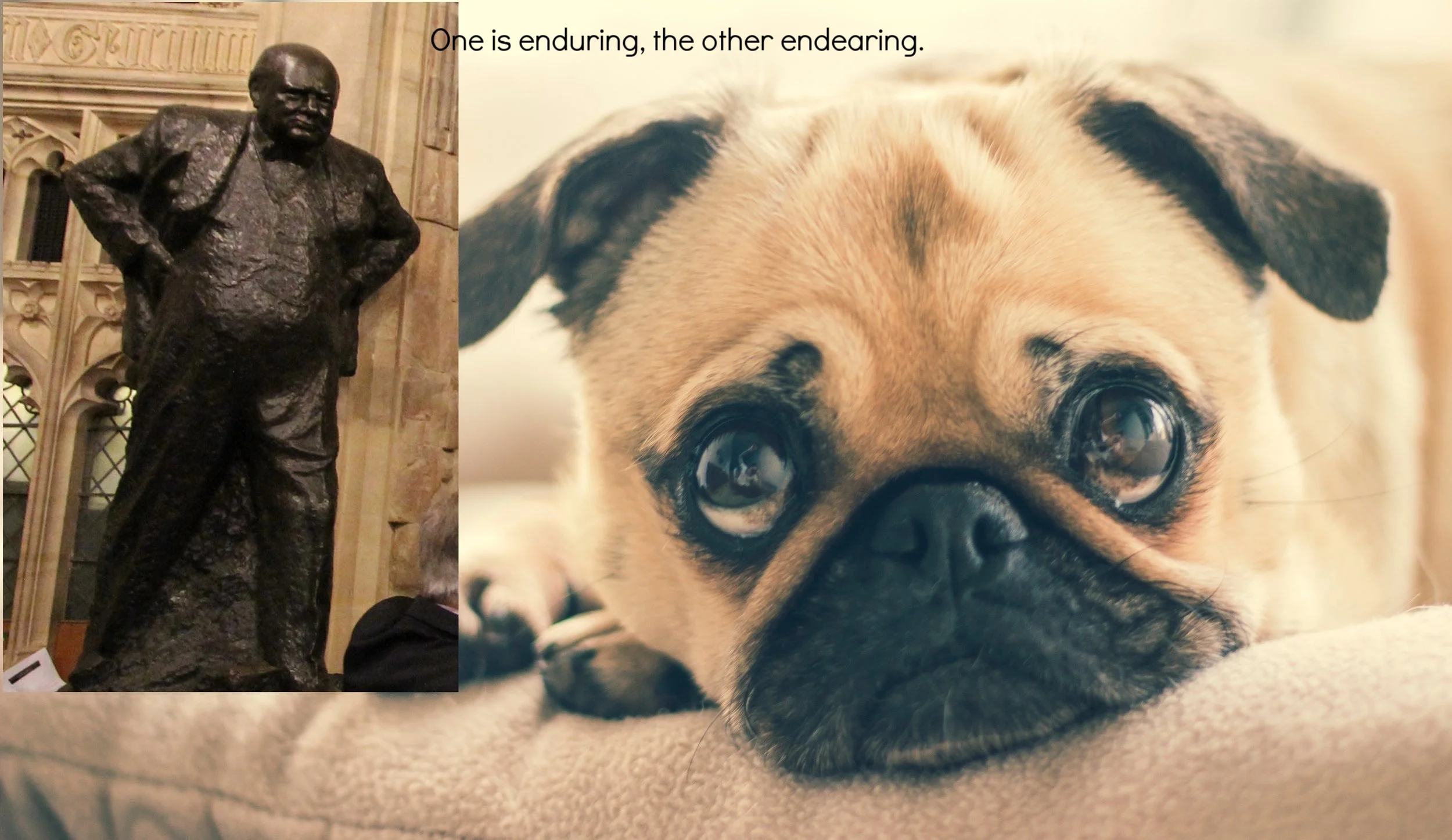 endearing or enduring?