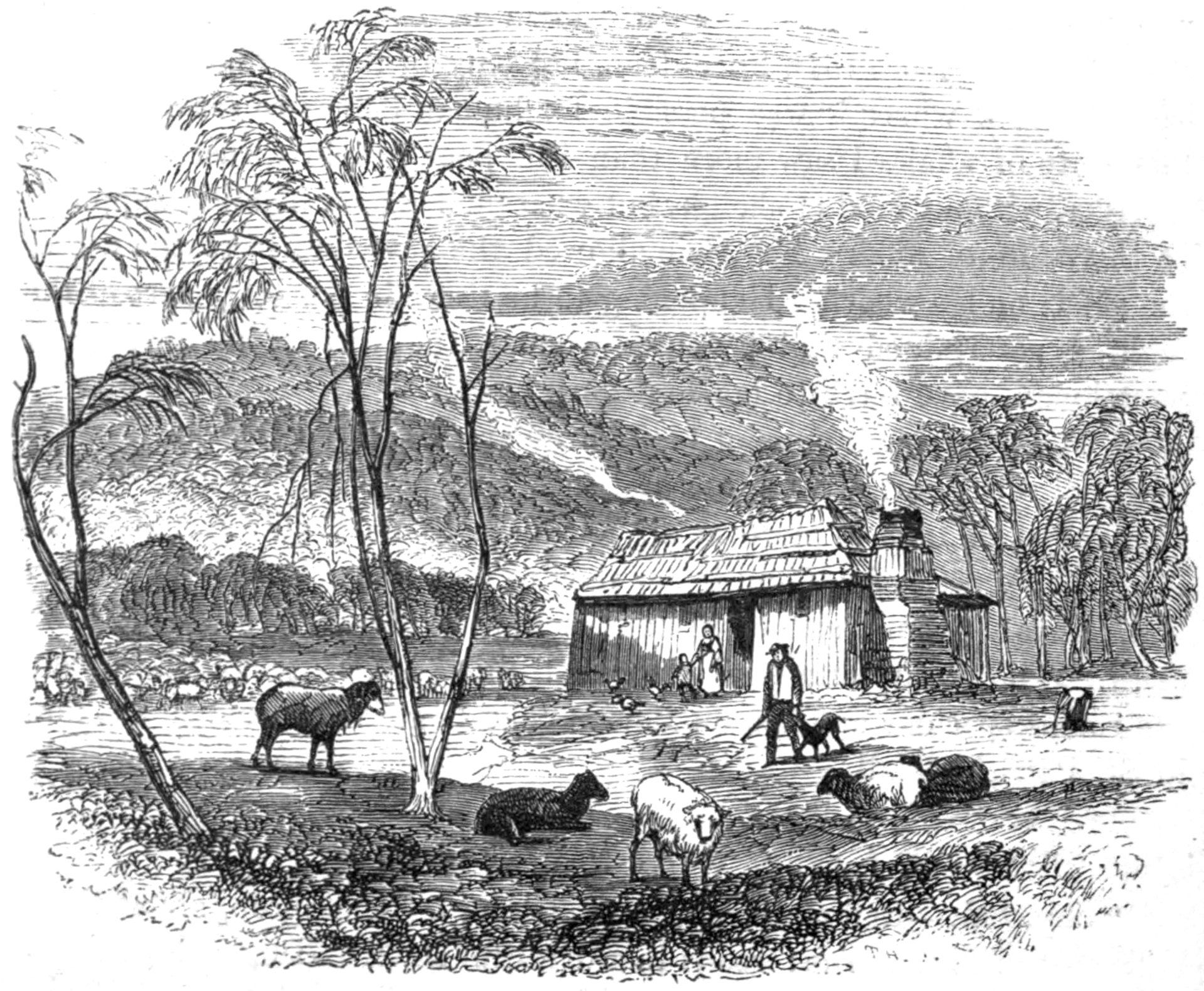 shepherdshut2.png