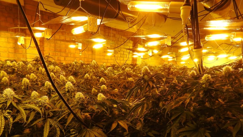 grow house 2.jpeg