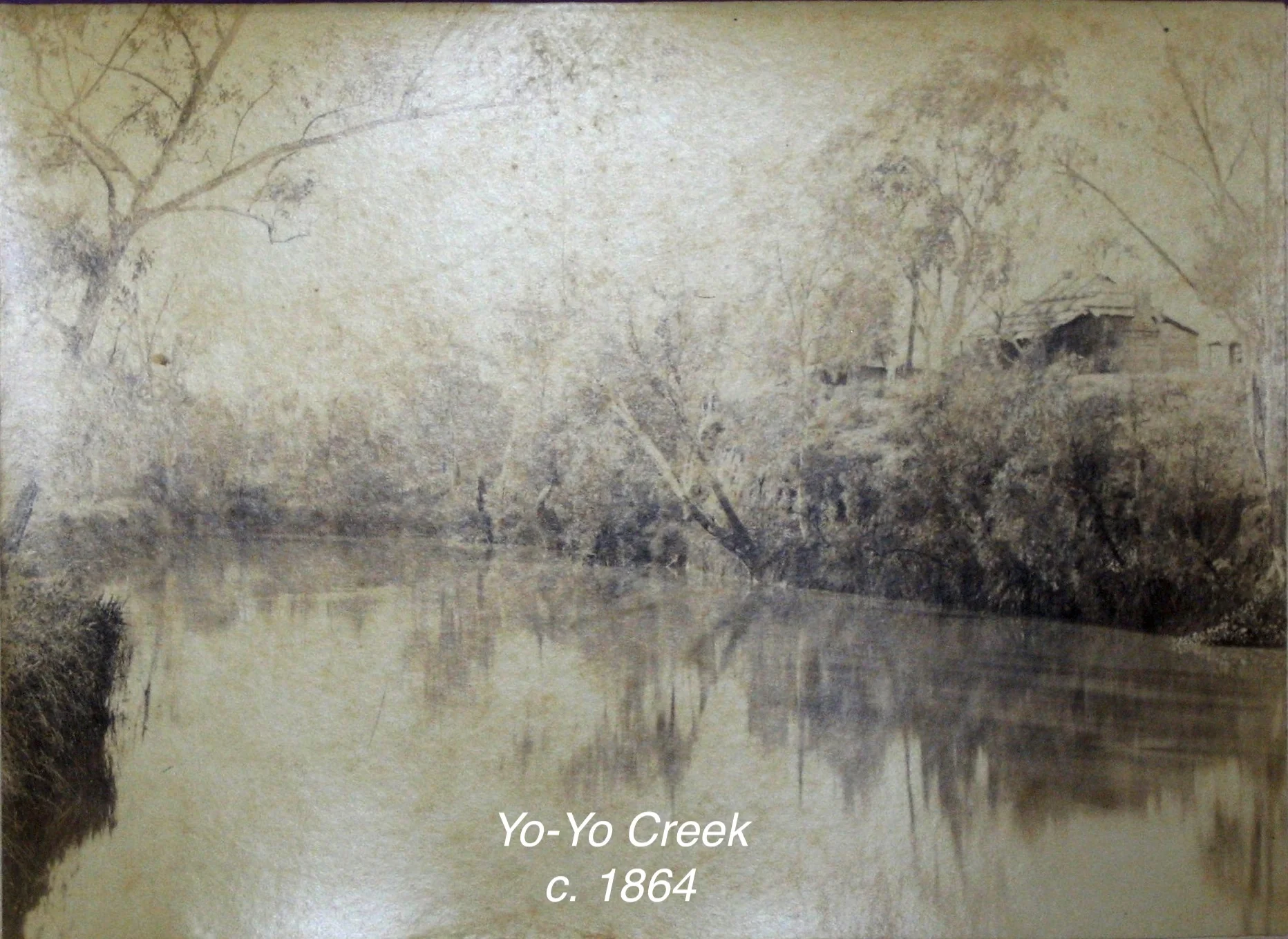 yo yo creek.jpg