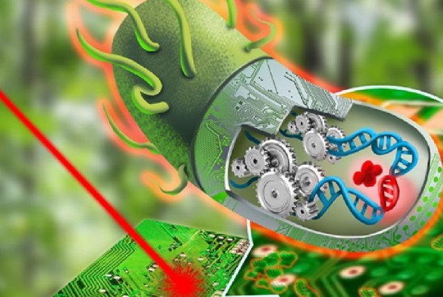Synthetic-Biology.jpg