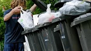 bin chicken.jpg