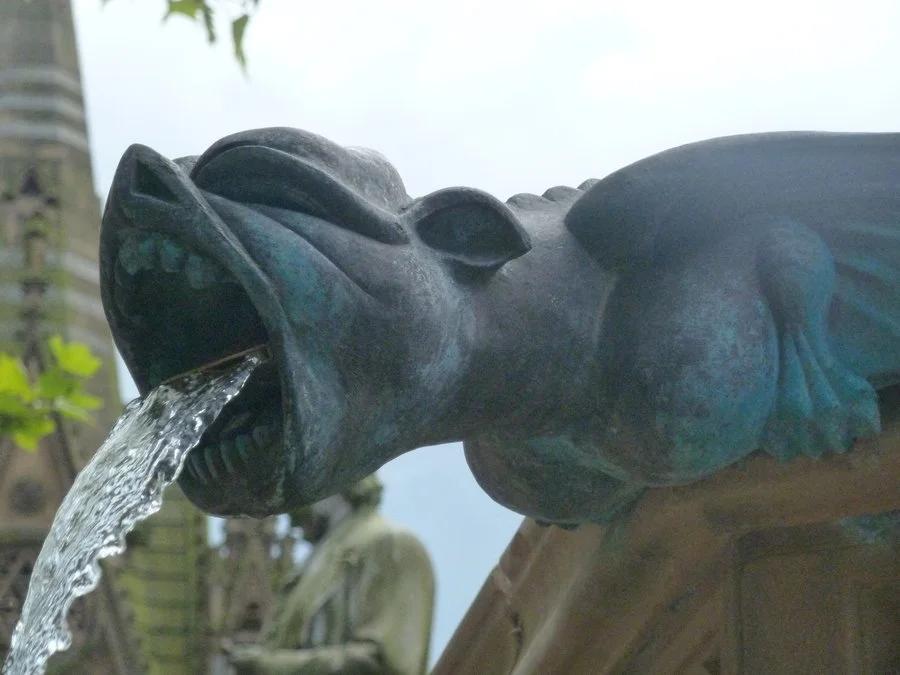 spout or sprout