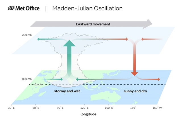 Madden-Julian oscillation — Sue Butler — Lexicographer at large