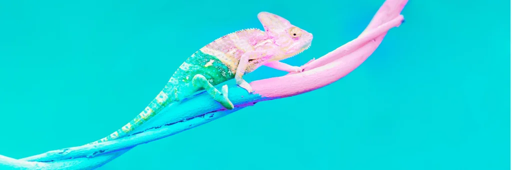 adaptability quotient