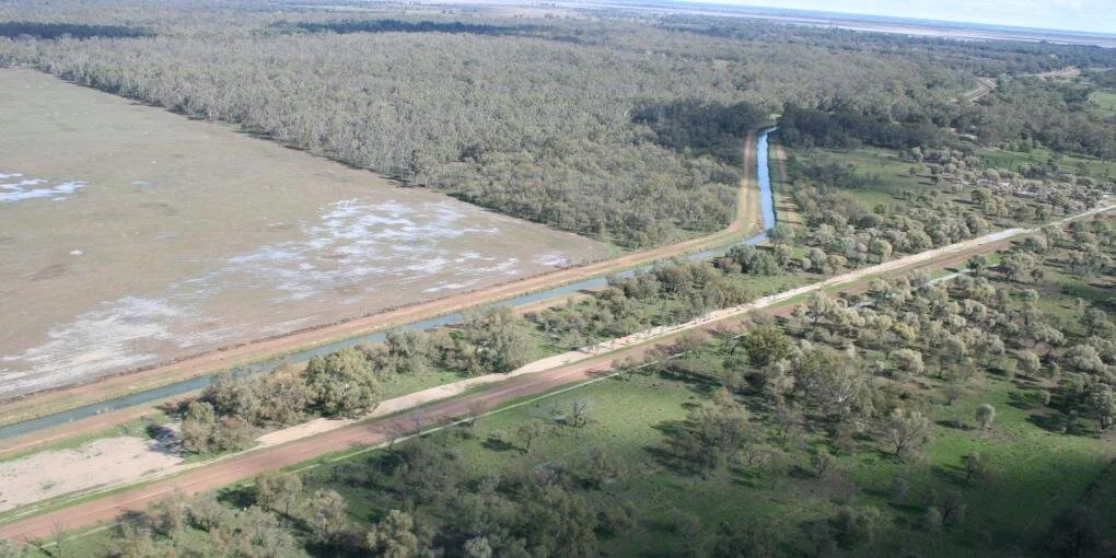floodplain harvesting