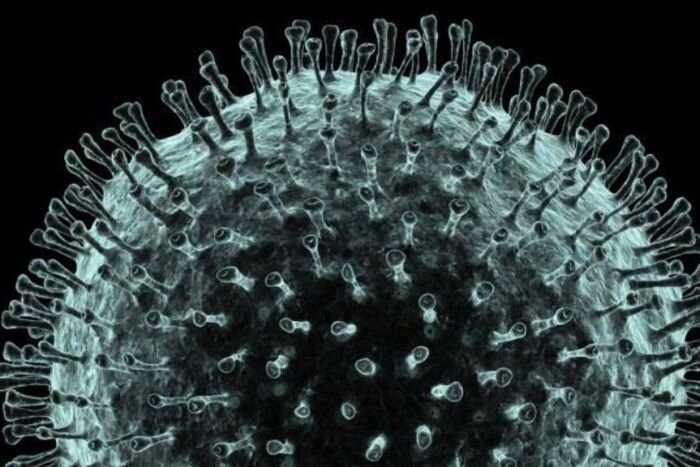 Follow up on COVID-19