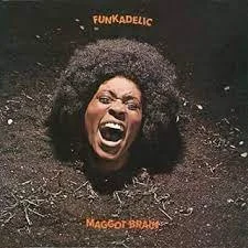 maggoted