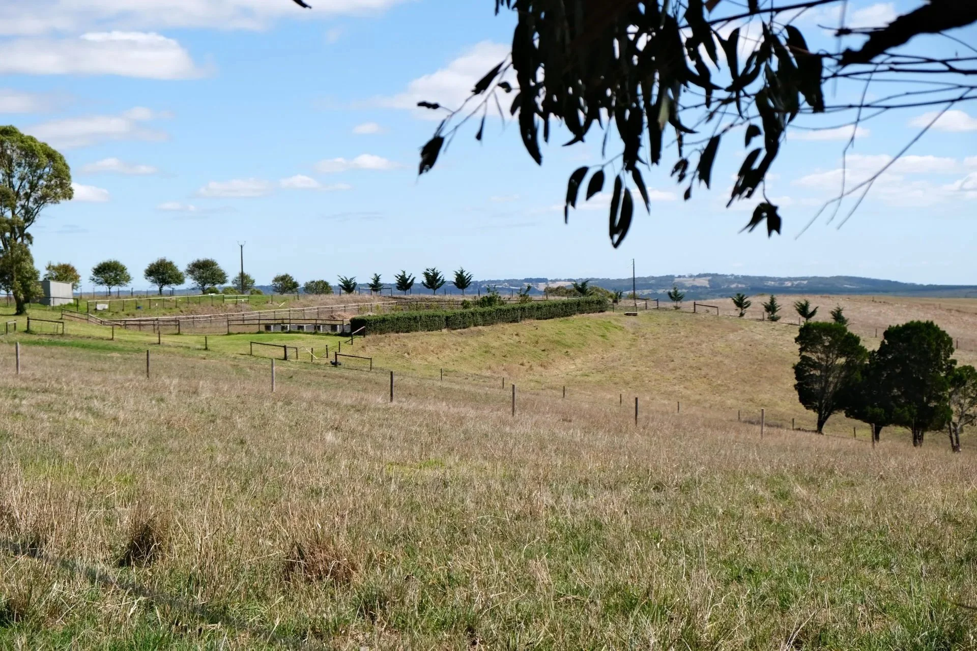 The Feel of a Word: paddock