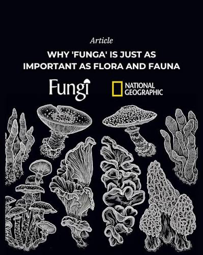 funga