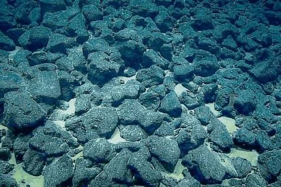 polymetallic nodule