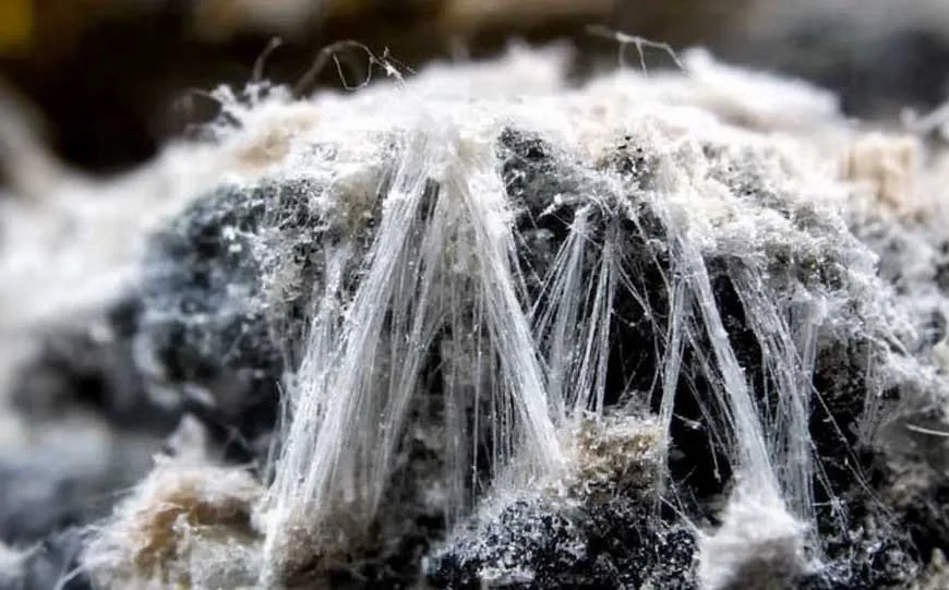 digital asbestos