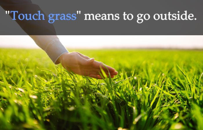 What do you mean by Touch grass?