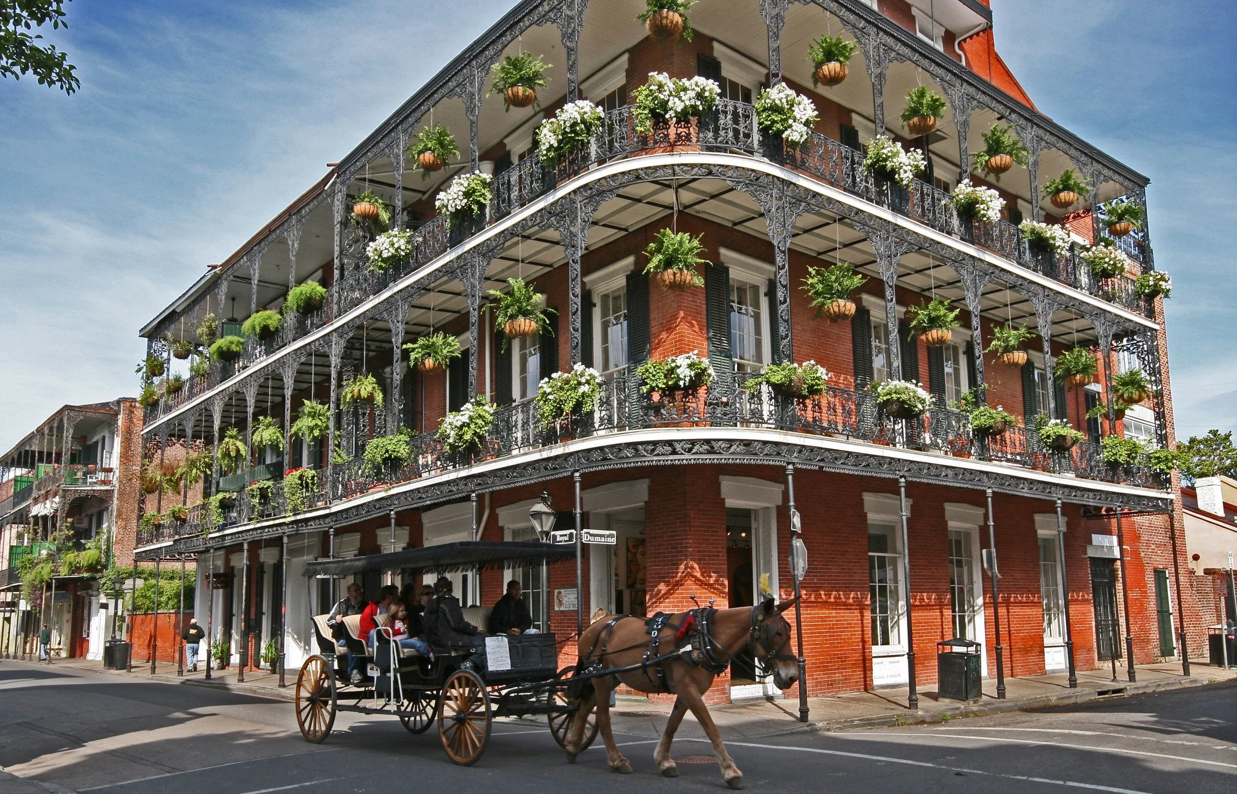   New Orleans    Find Flights  