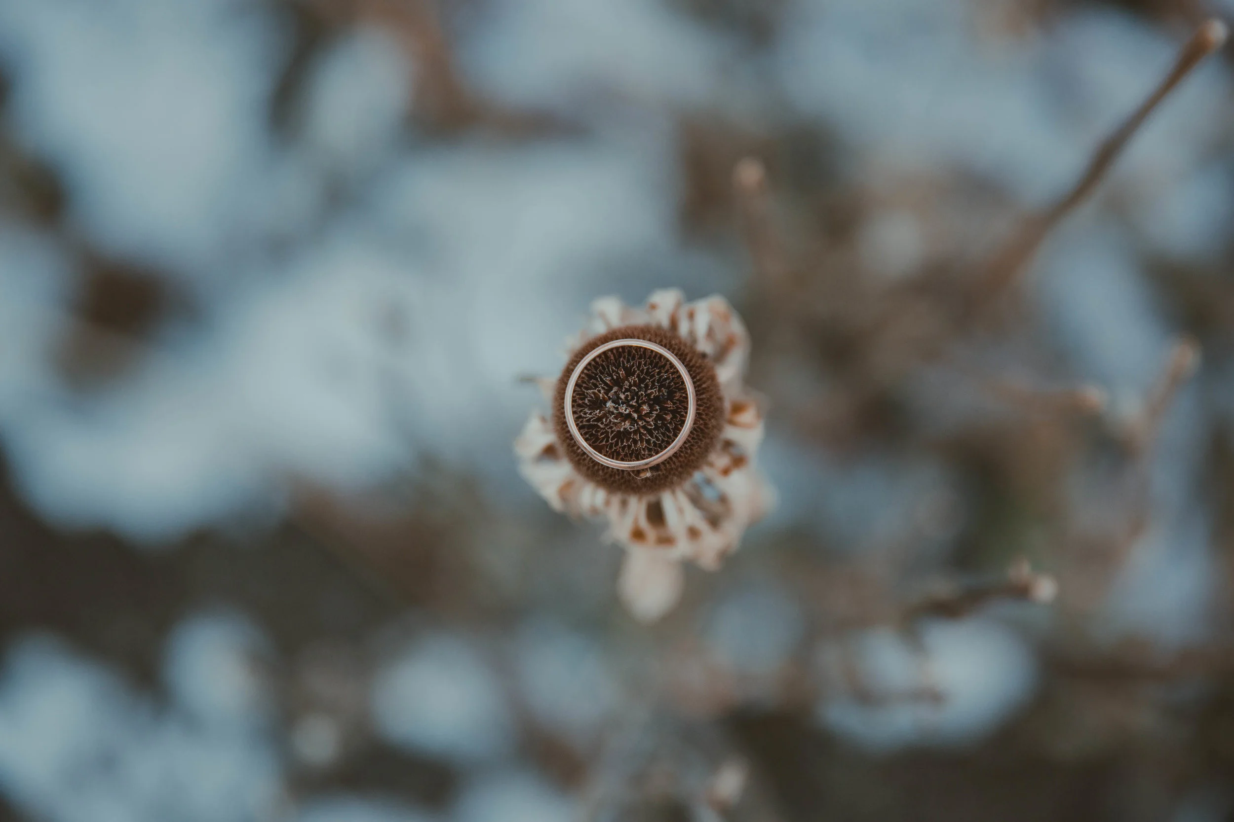 GH Photography Calgary Wedding Session Dark-1.jpg