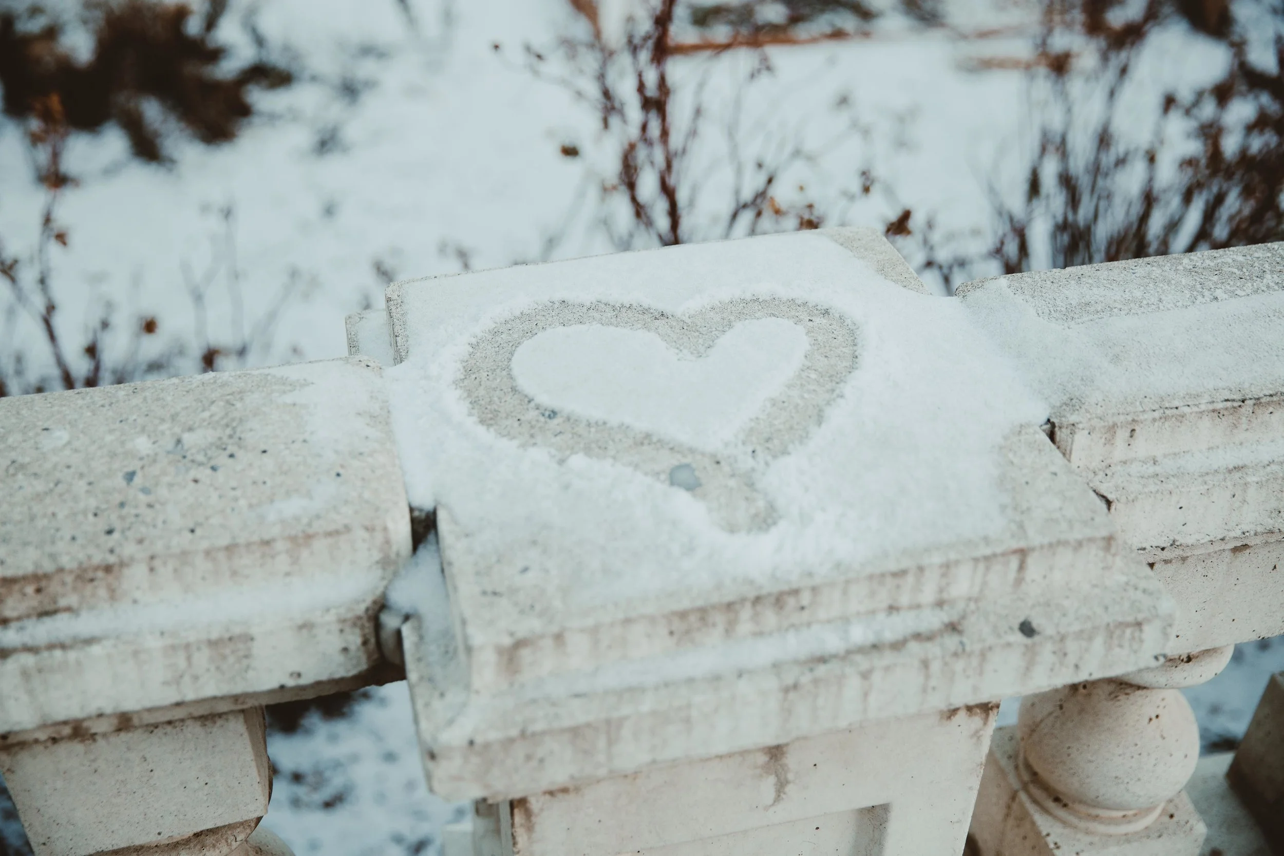 GH Photography Calgary Wedding Session Dark-13.jpg