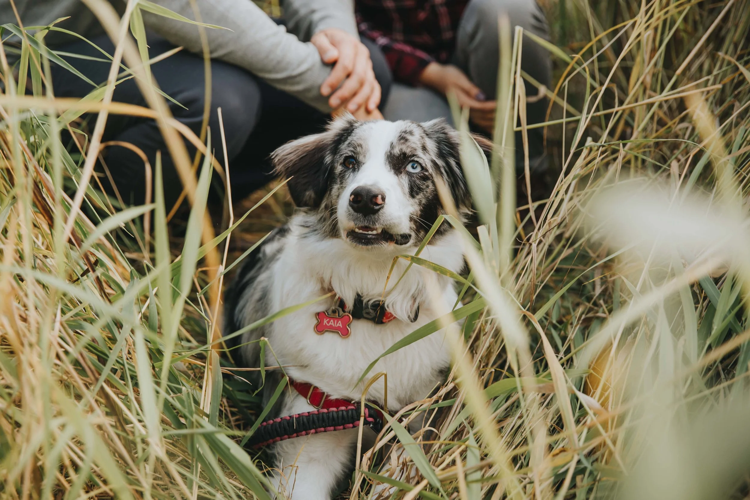 Elk Island Engagement Session10.jpg