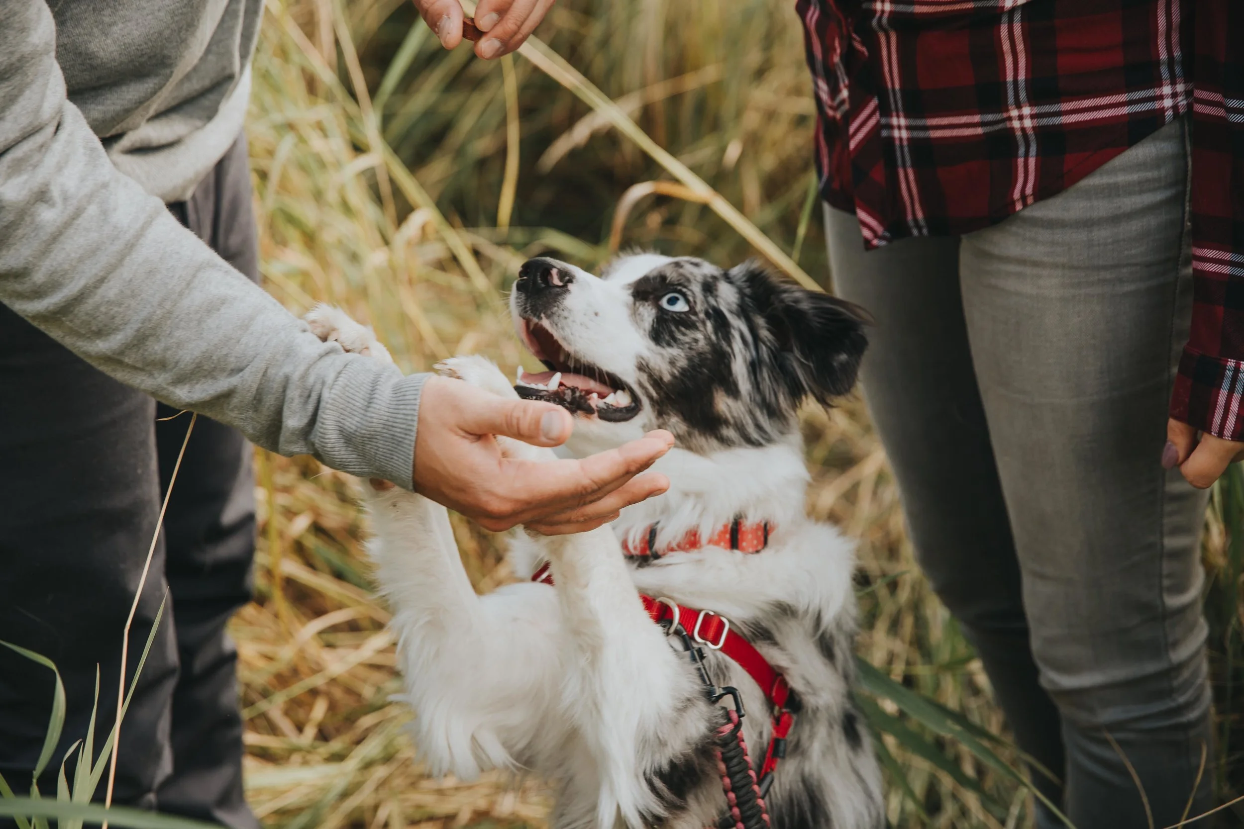 Elk Island Engagement Session11.jpg