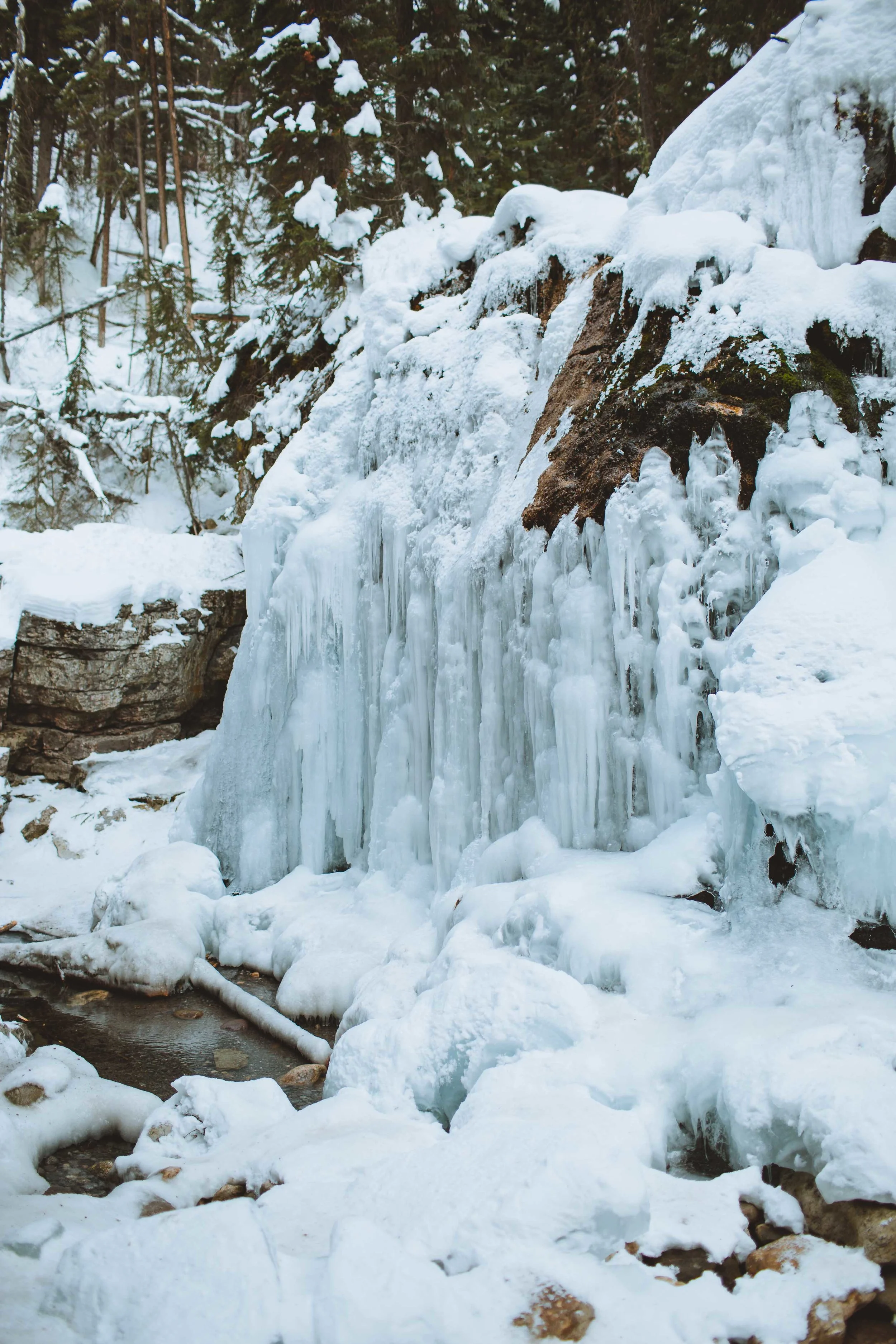 GH Photography Jasper Canyon Adventure-42.jpg