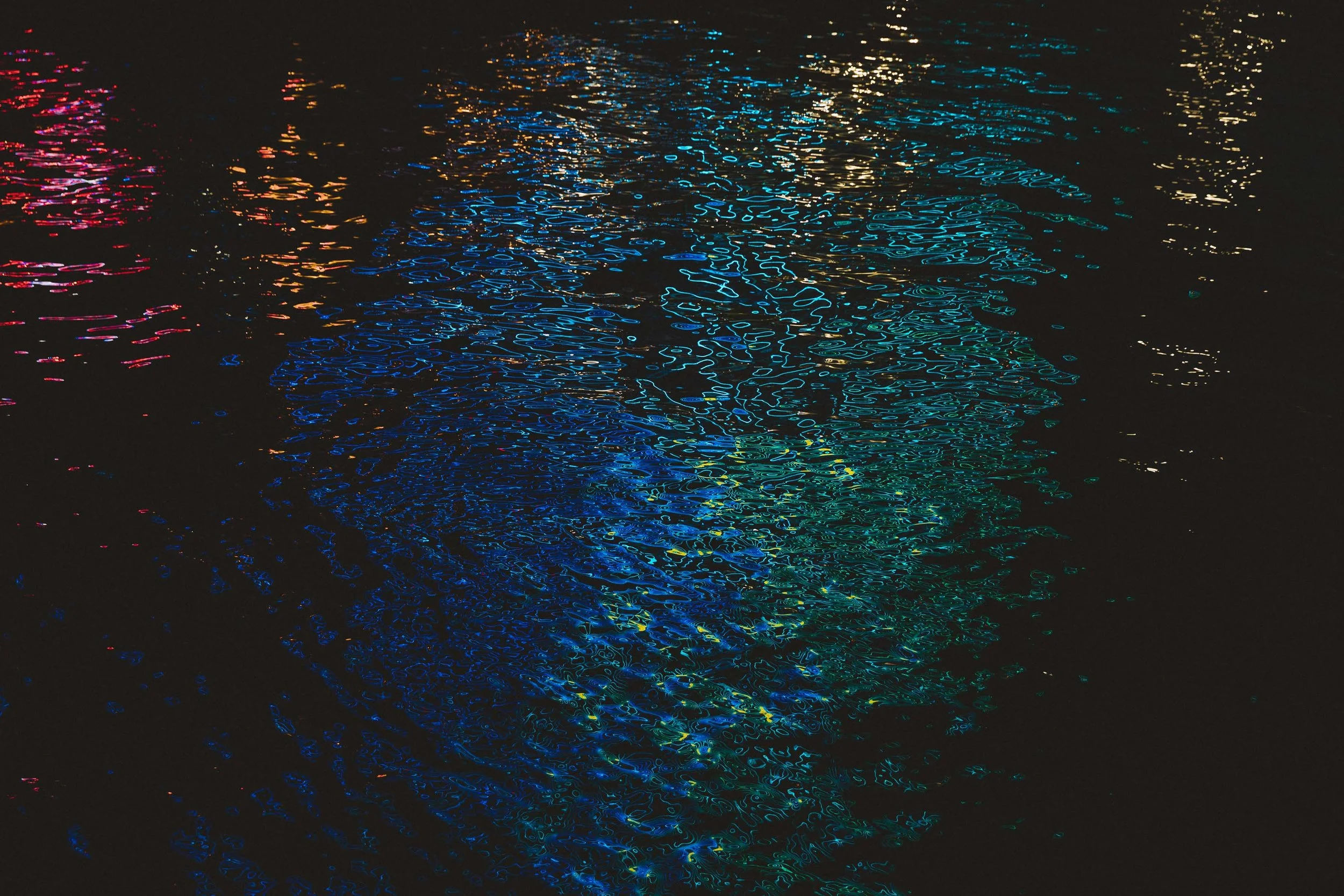 Day 5 Seattle-14.jpg