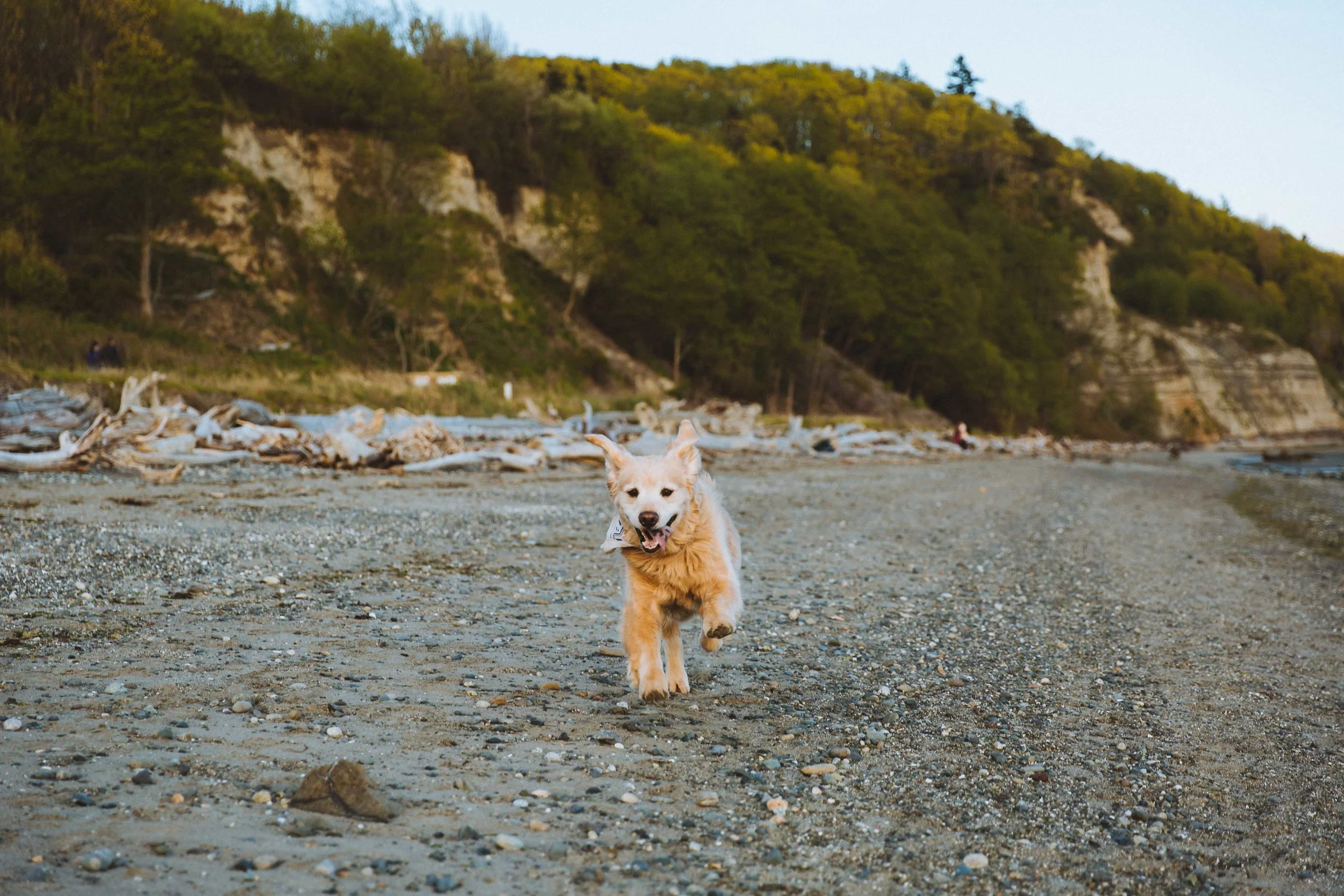 GH Photography Seattle Discovery Park Lifestyle Session-18.jpg