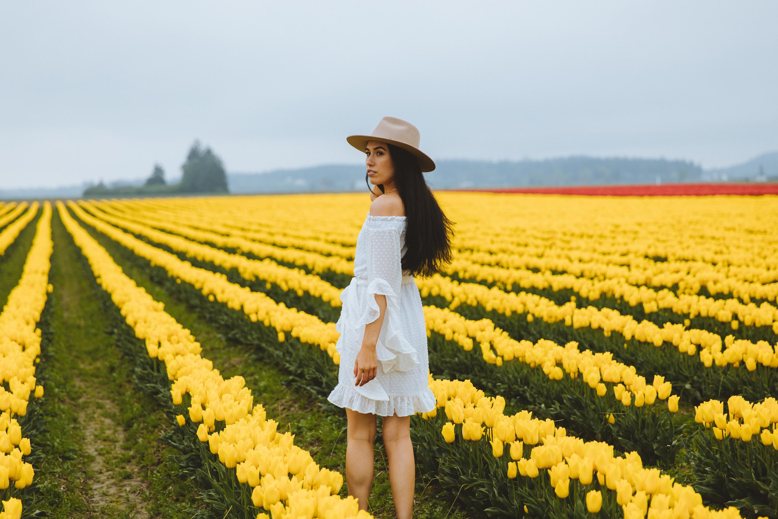 GH Photography Seattle Tulip Field Lifestyle Session62.jpg