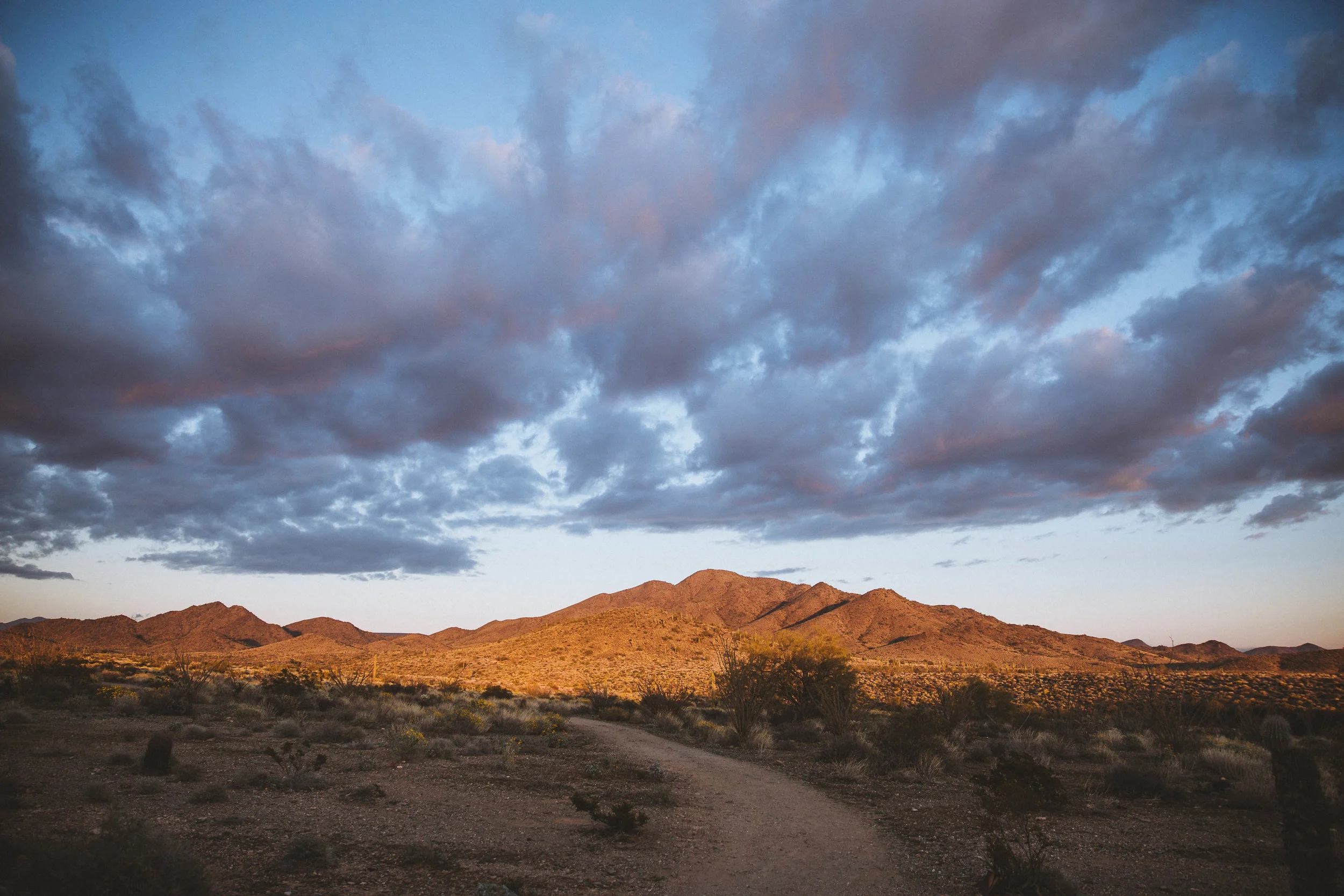 GH Photography Arizona Destination Photographers Edmonton-5.jpg