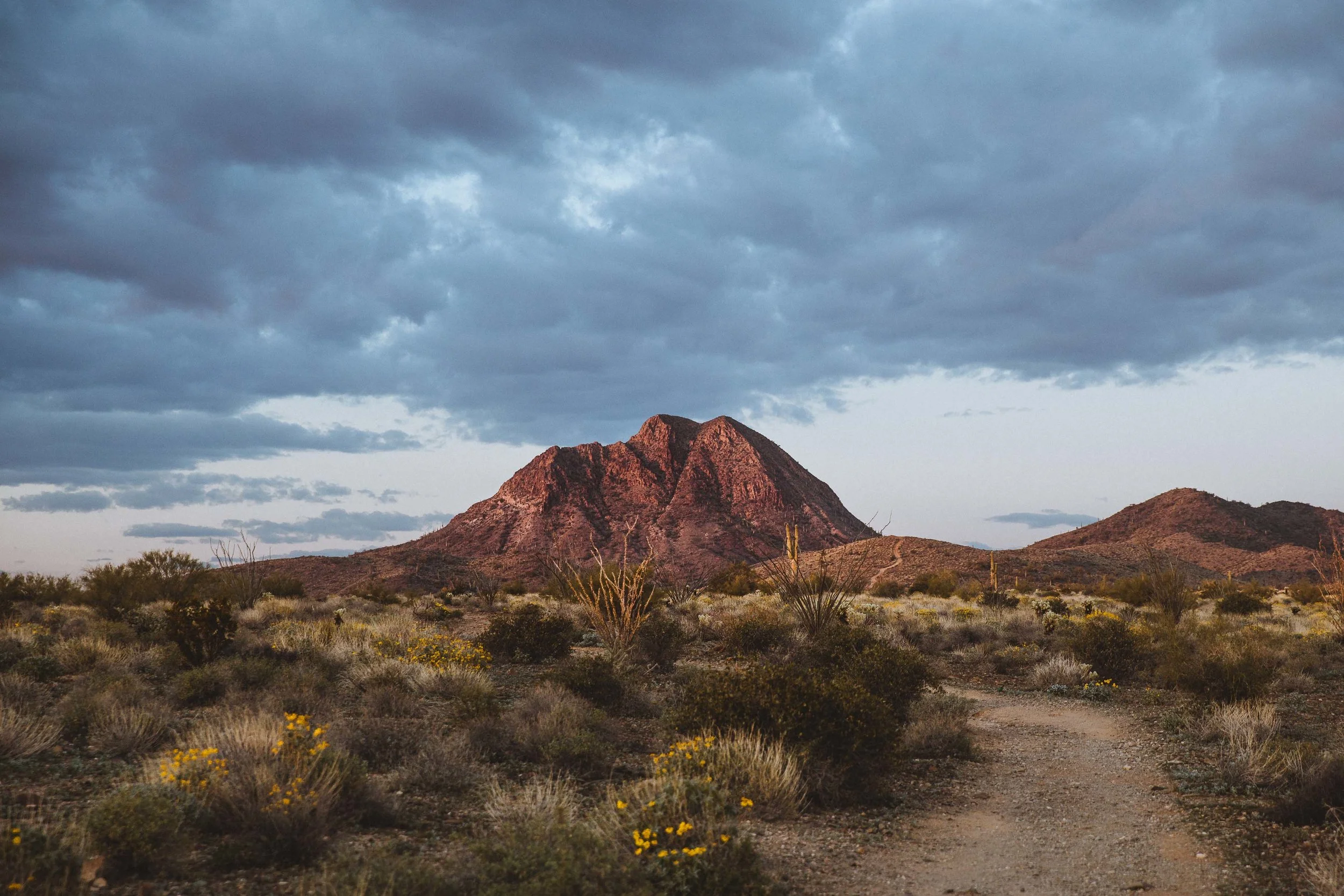 GH Photography Arizona Destination Photographers Edmonton-11.jpg