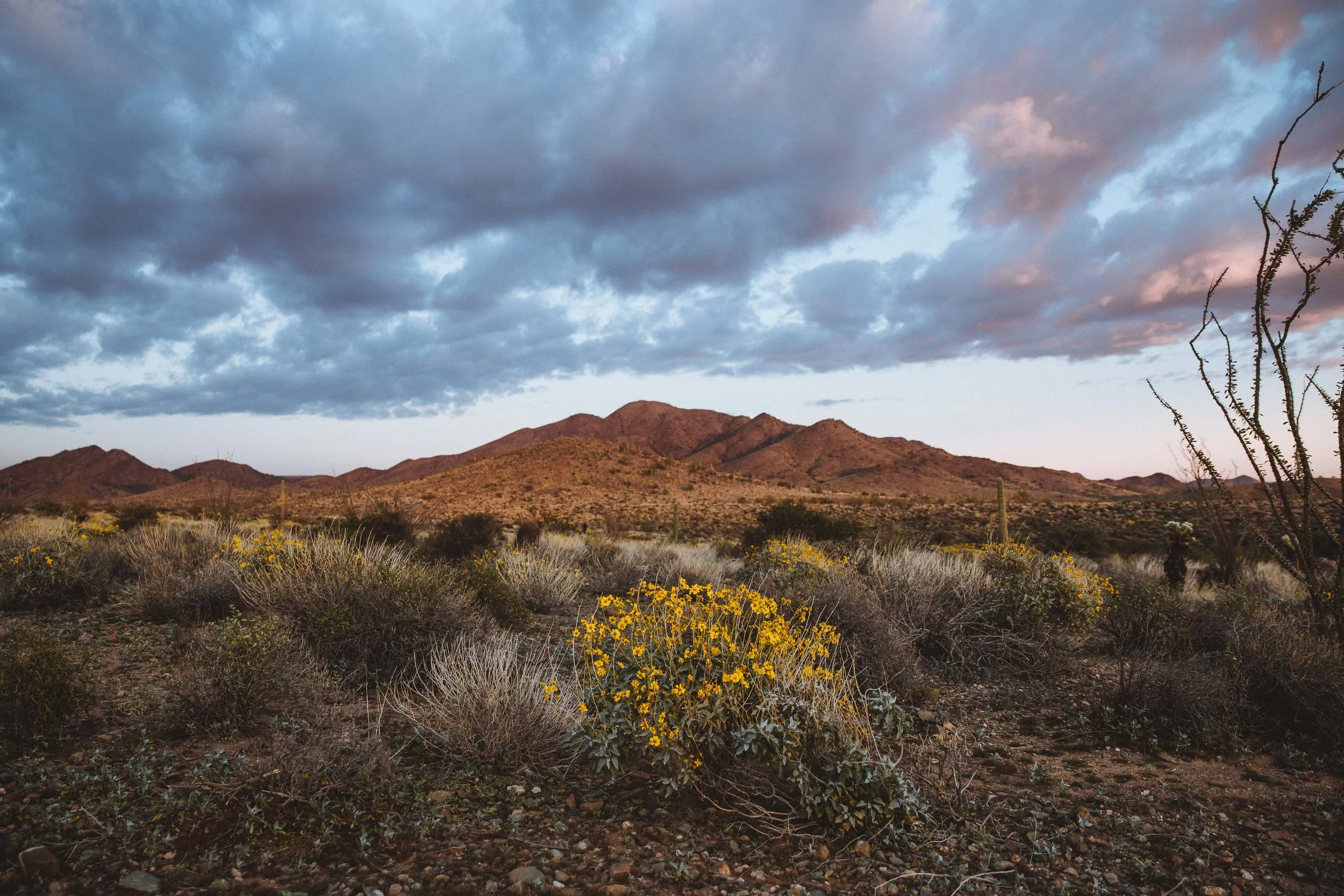 GH Photography Arizona Destination Photographers Edmonton-12.jpg