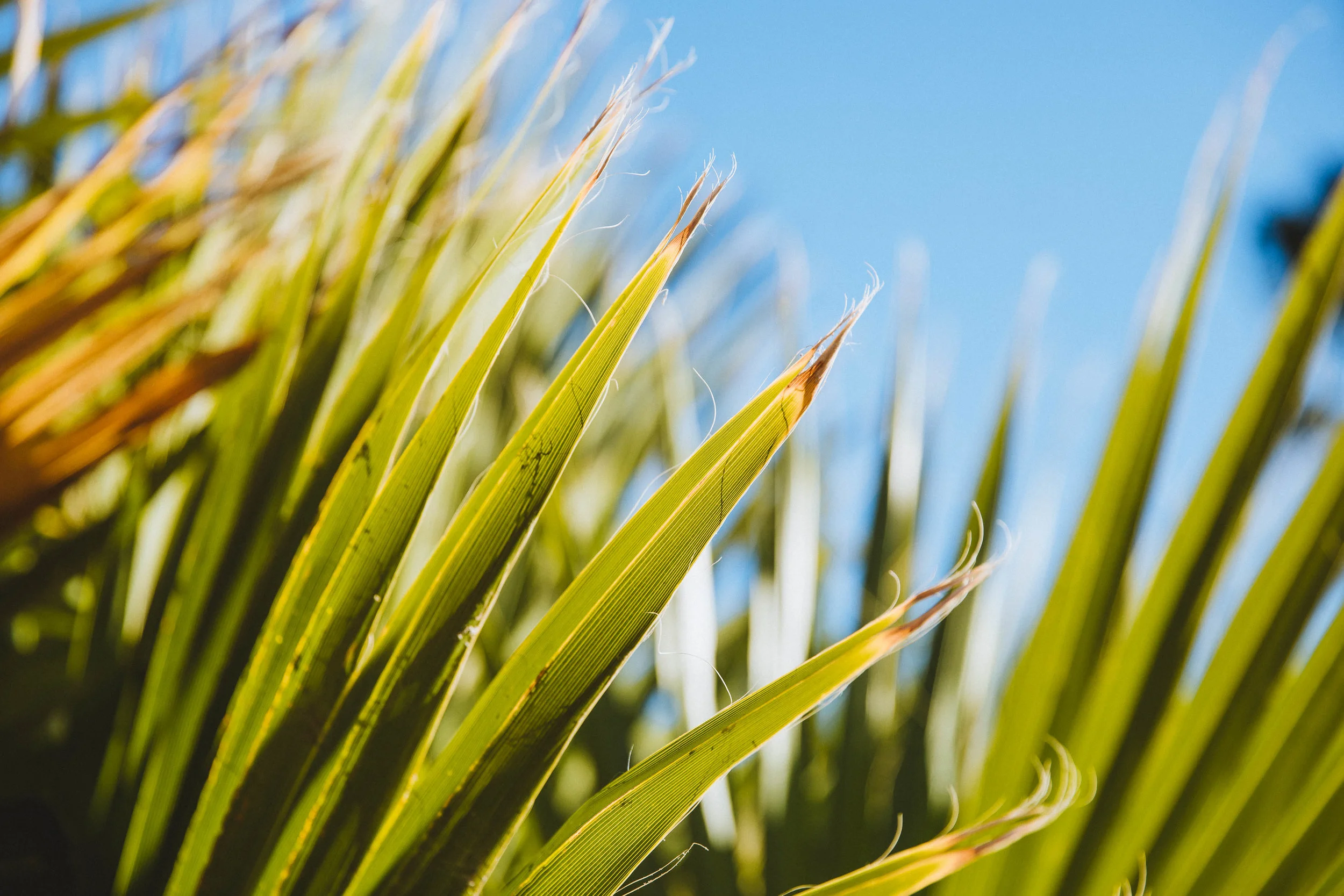 GH Photography Arizona Destination Photographers Edmonton-29.jpg