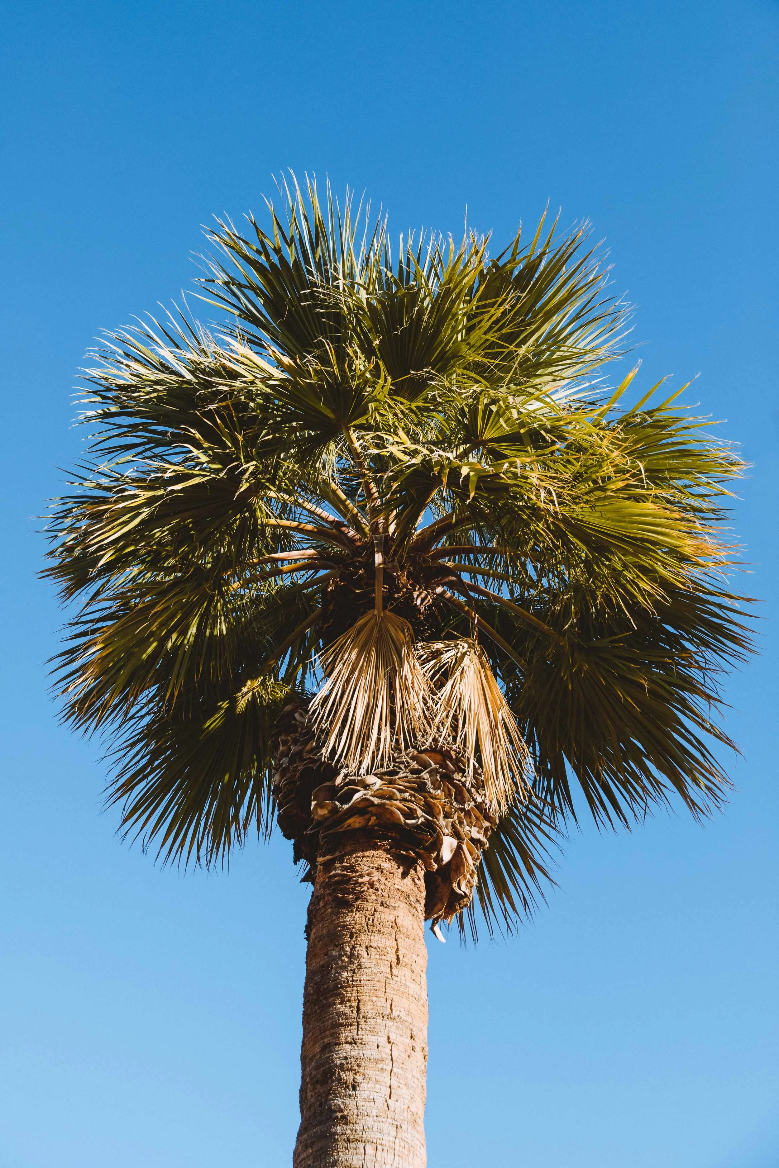 GH Photography Arizona Destination Photographers Edmonton-30.jpg