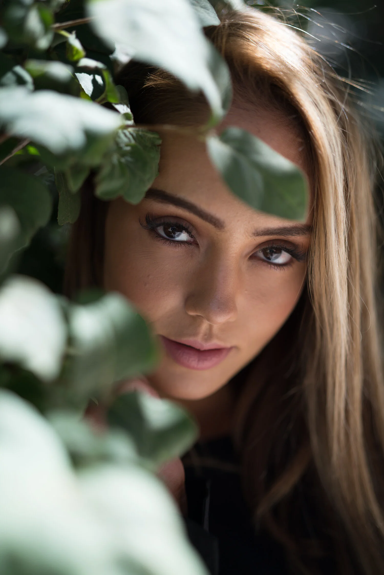 Arizona Days Preset-2.jpg