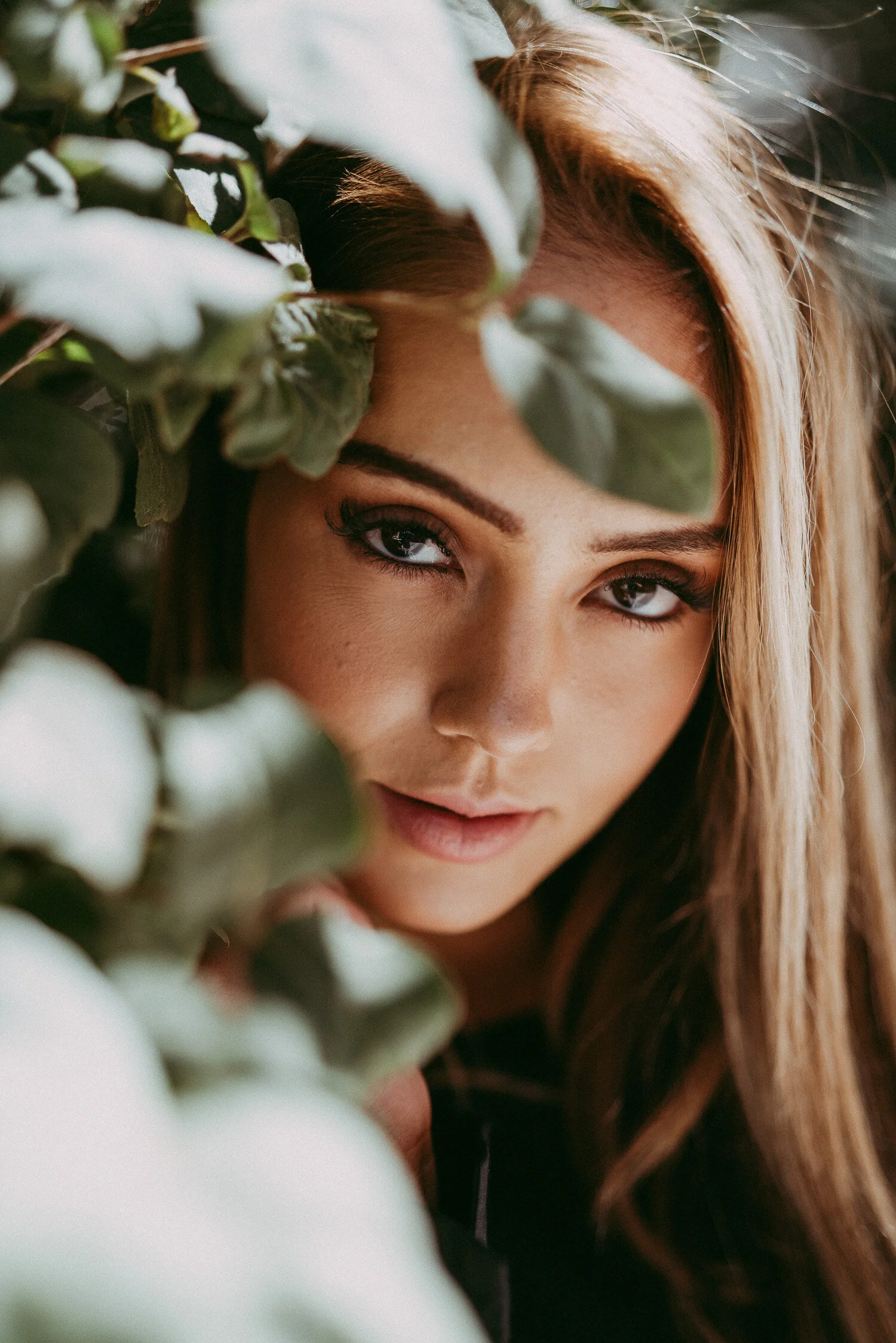 Arizona Days Preset-1.jpg