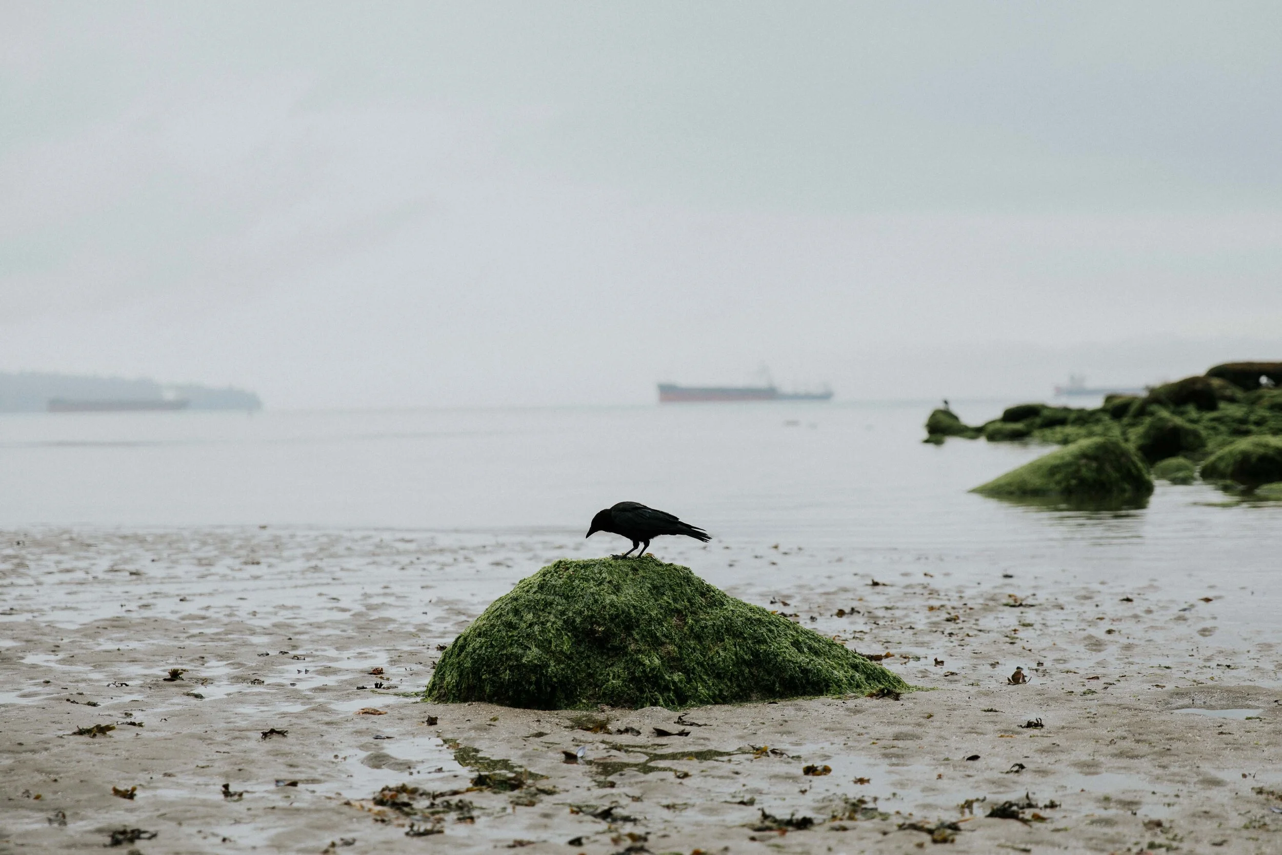 GH Photography Vancouver Stanley Park Lifestyle Session-27.jpg