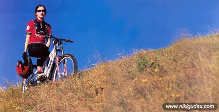 _nikigudex_mtb03