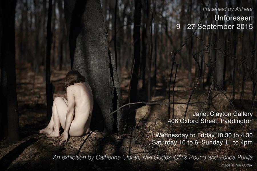 _nikigudex_2015_unforeseen_exhibition_flyer_01.jpg
