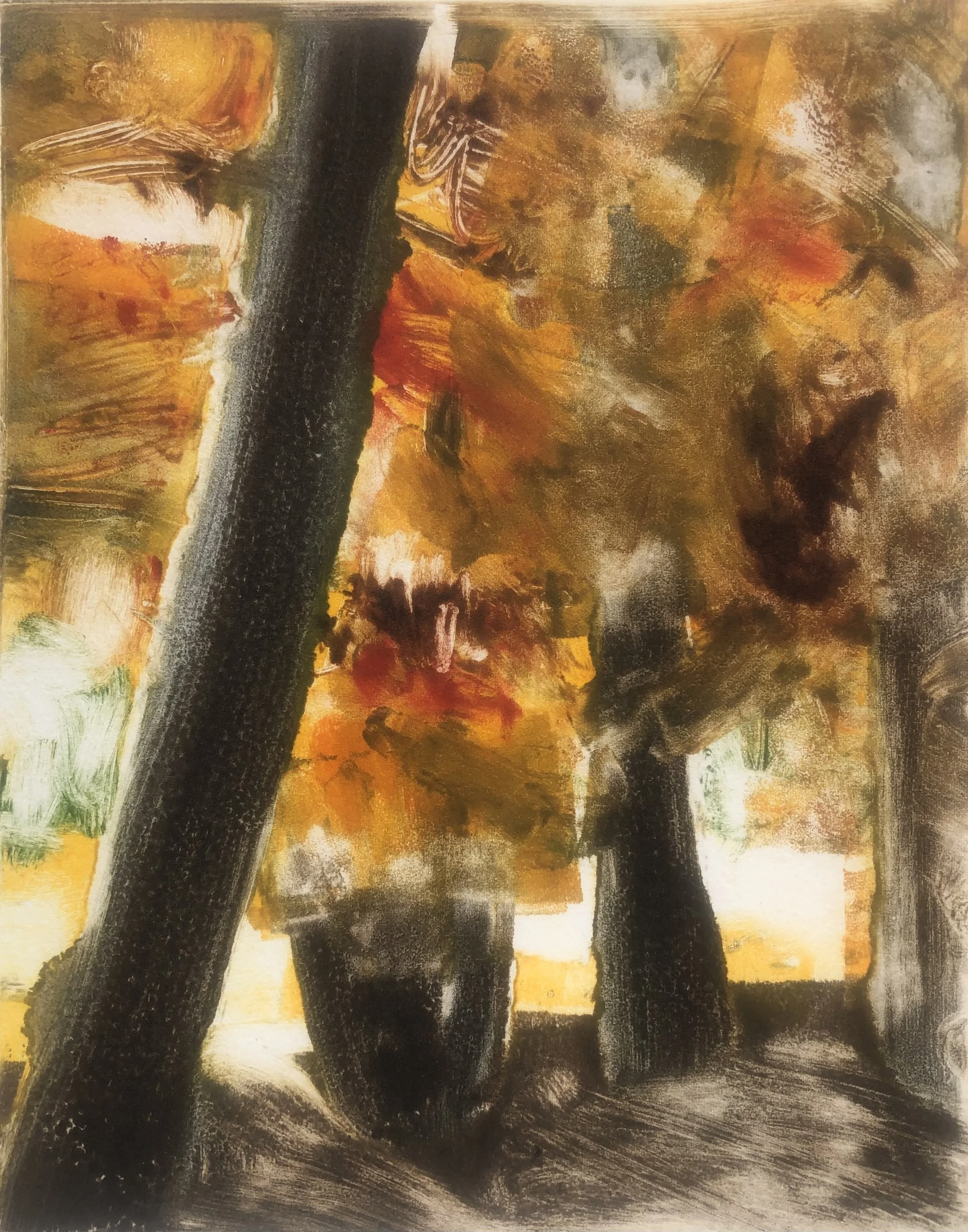 Forma Natura: Nature as Source