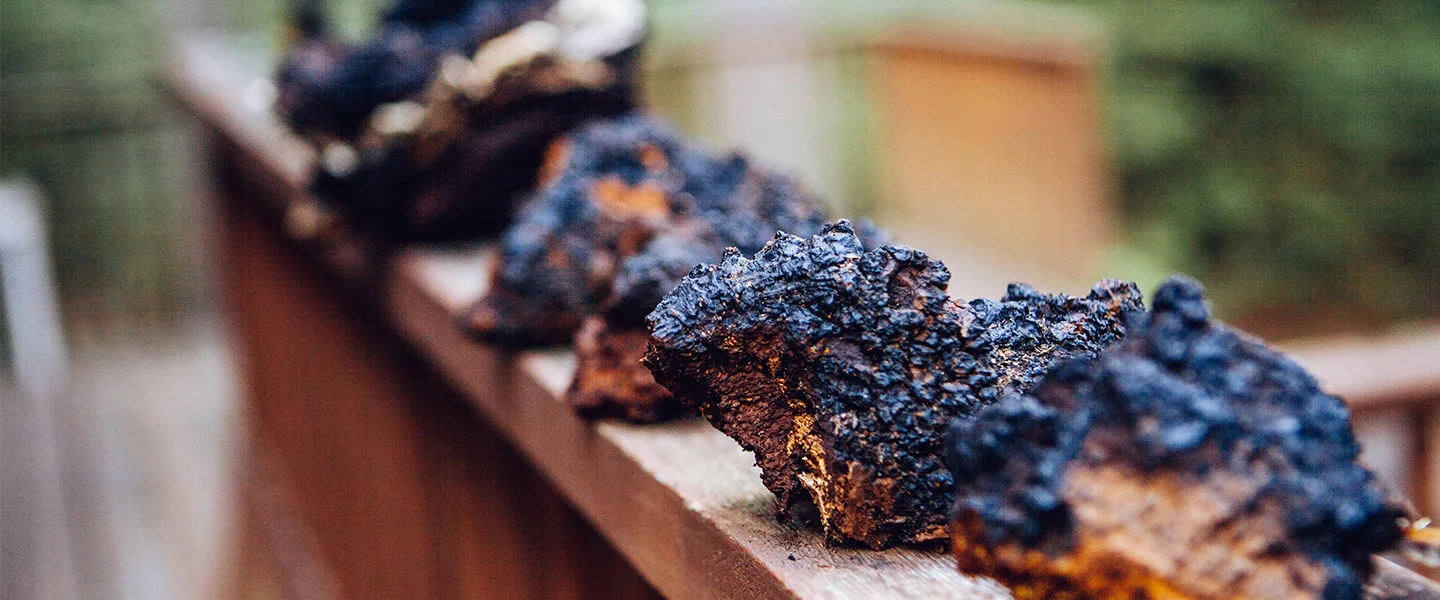 STOCK- CHAGA.jpg